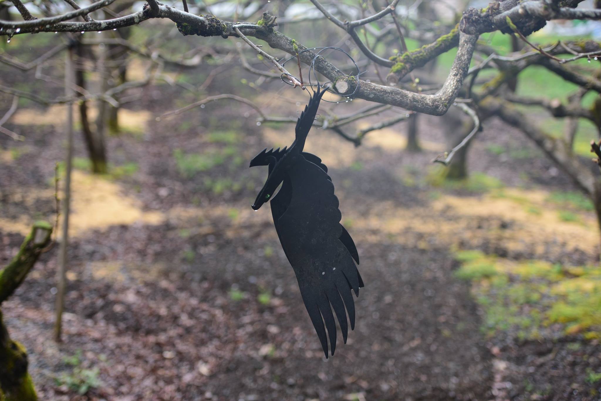 30052374_1650949051689640_7140907259332743342_o