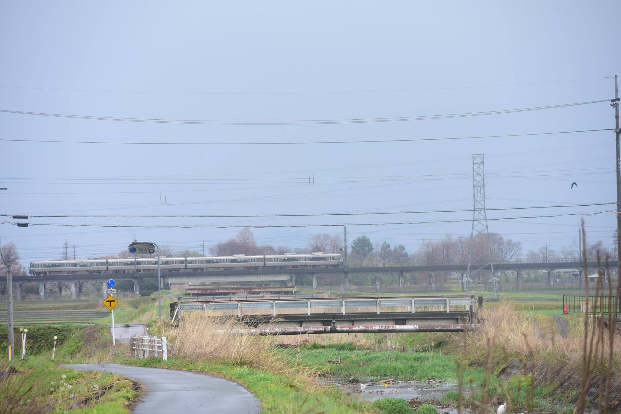 30171051_1650950271689518_6930936376029167802_o