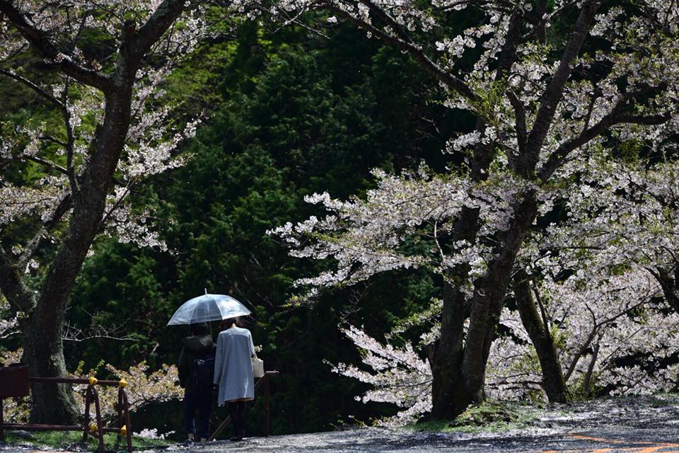 30226776_2101843839856123_6104583652283252736_n