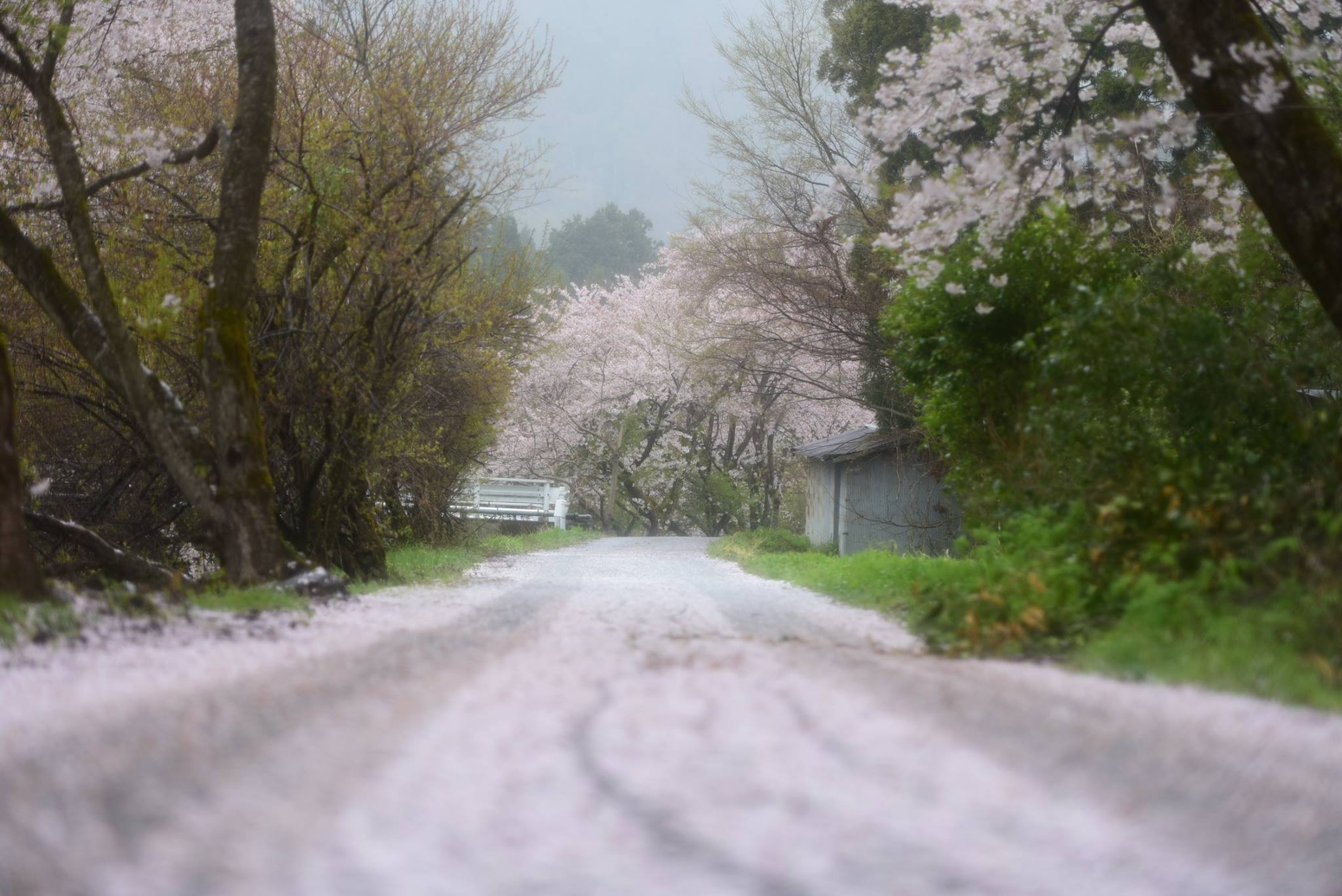 30424885_1650948495023029_2379941195845687705_o