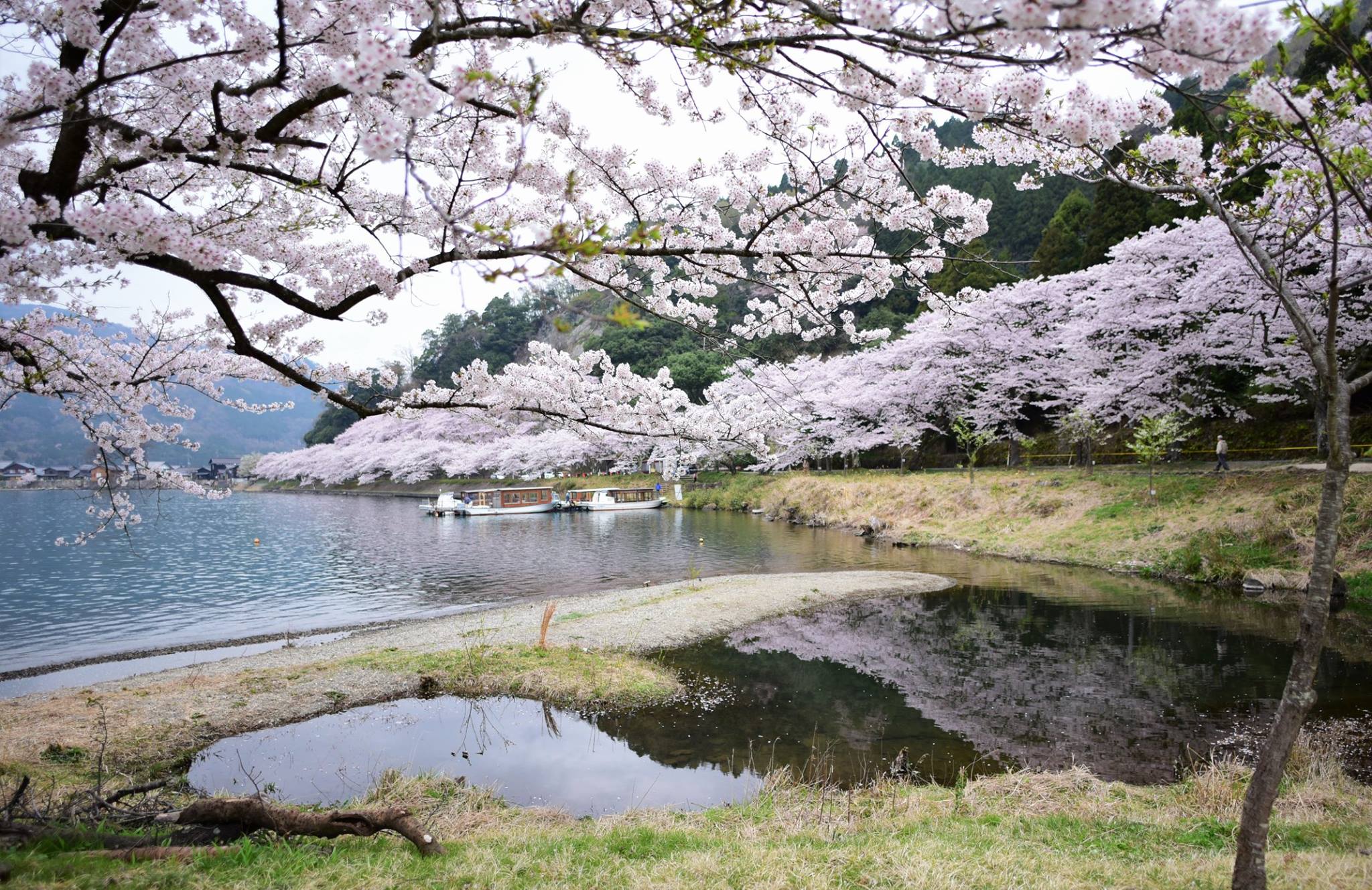 31180118_1962258770769778_3581220319261622272_o