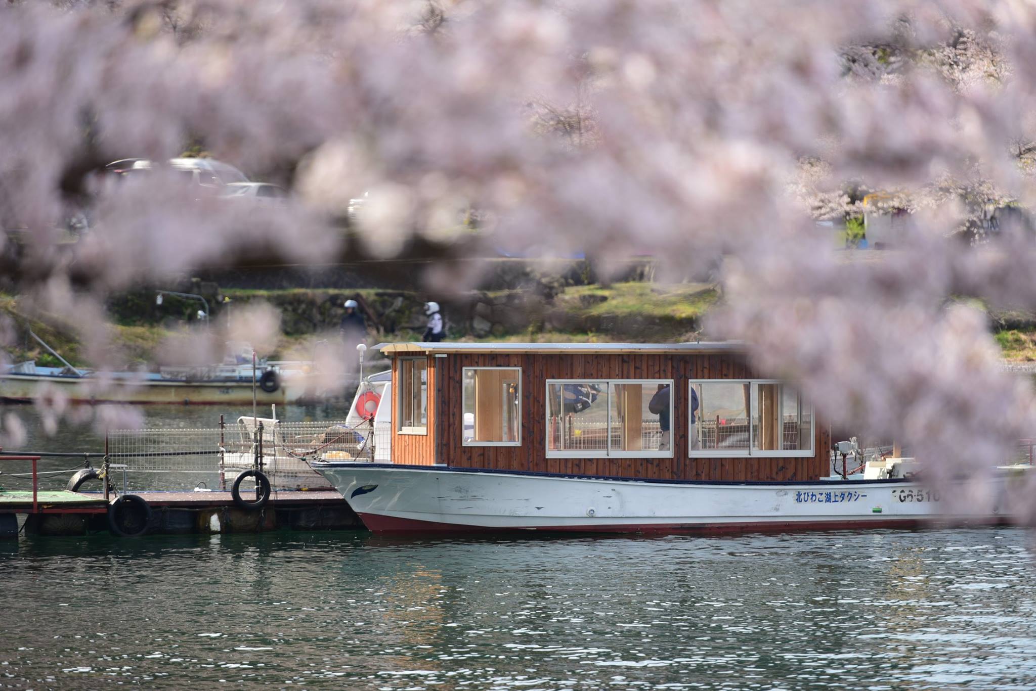 31206248_1962259287436393_7376567212317868032_o