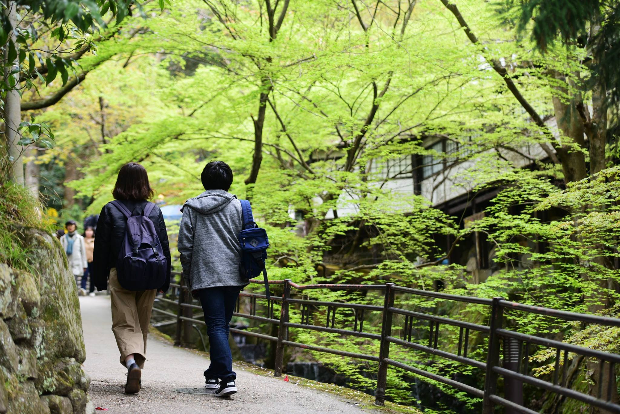 31543308_1969634890032166_3947410278890602496_o