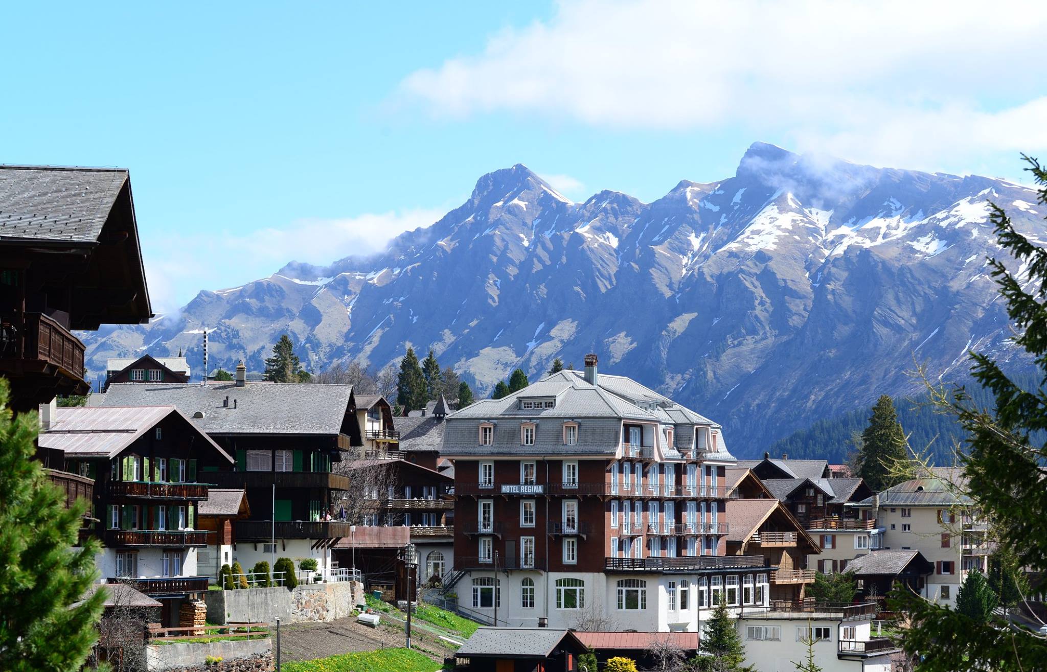 31564197_1965869917075330_8870832771782672384_o