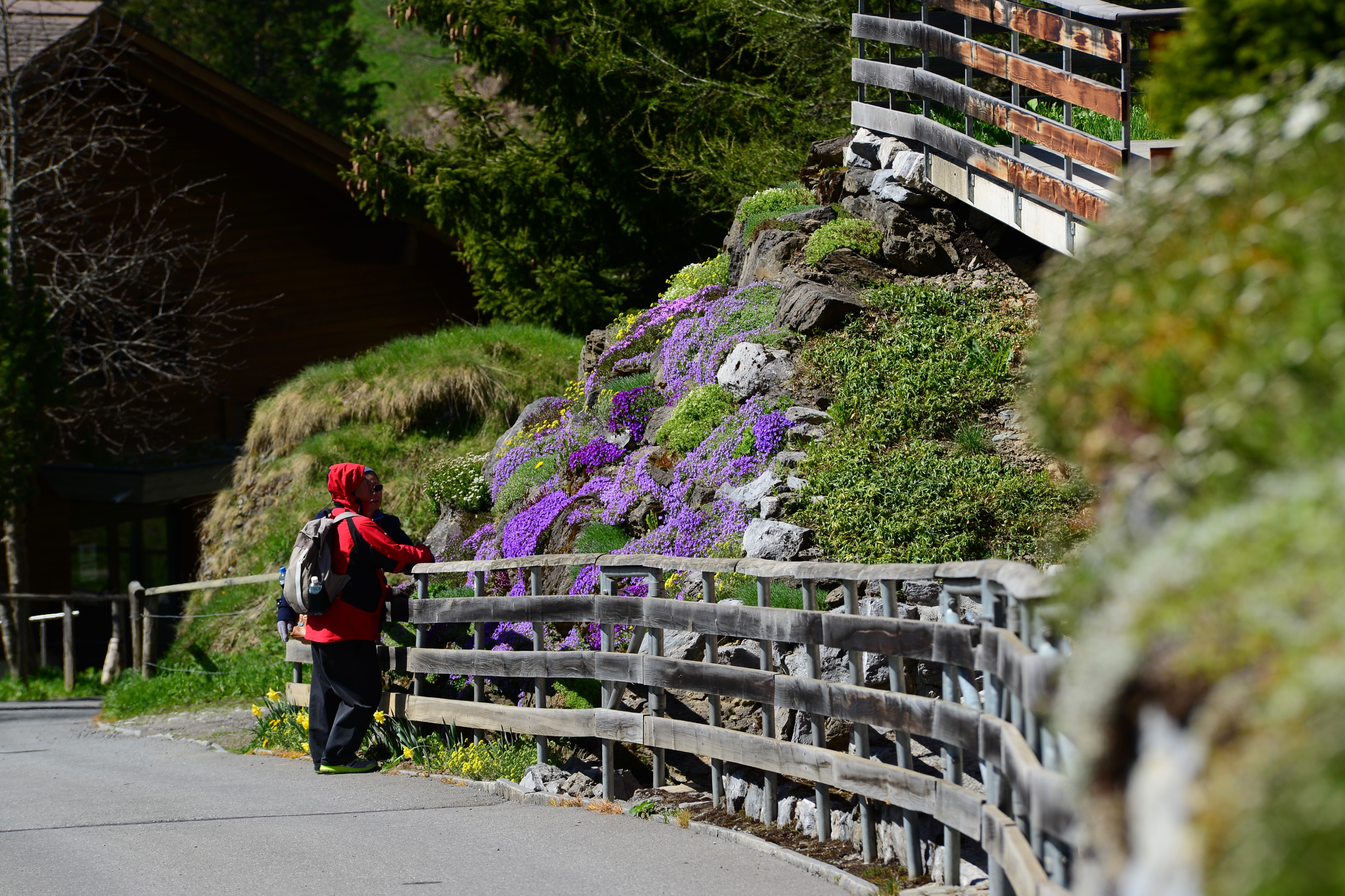 31564197_1965869917075330_8870832771782672384_o