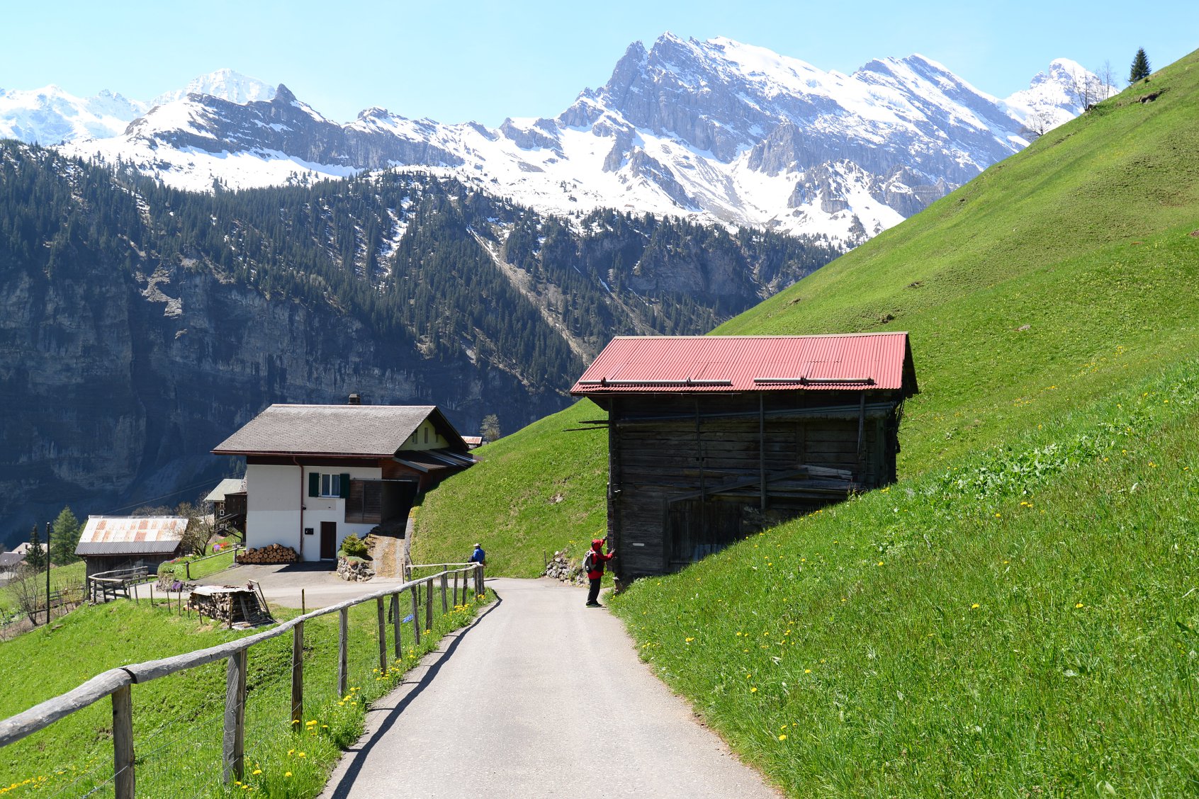 31564223_1965870200408635_720094225437294592_o