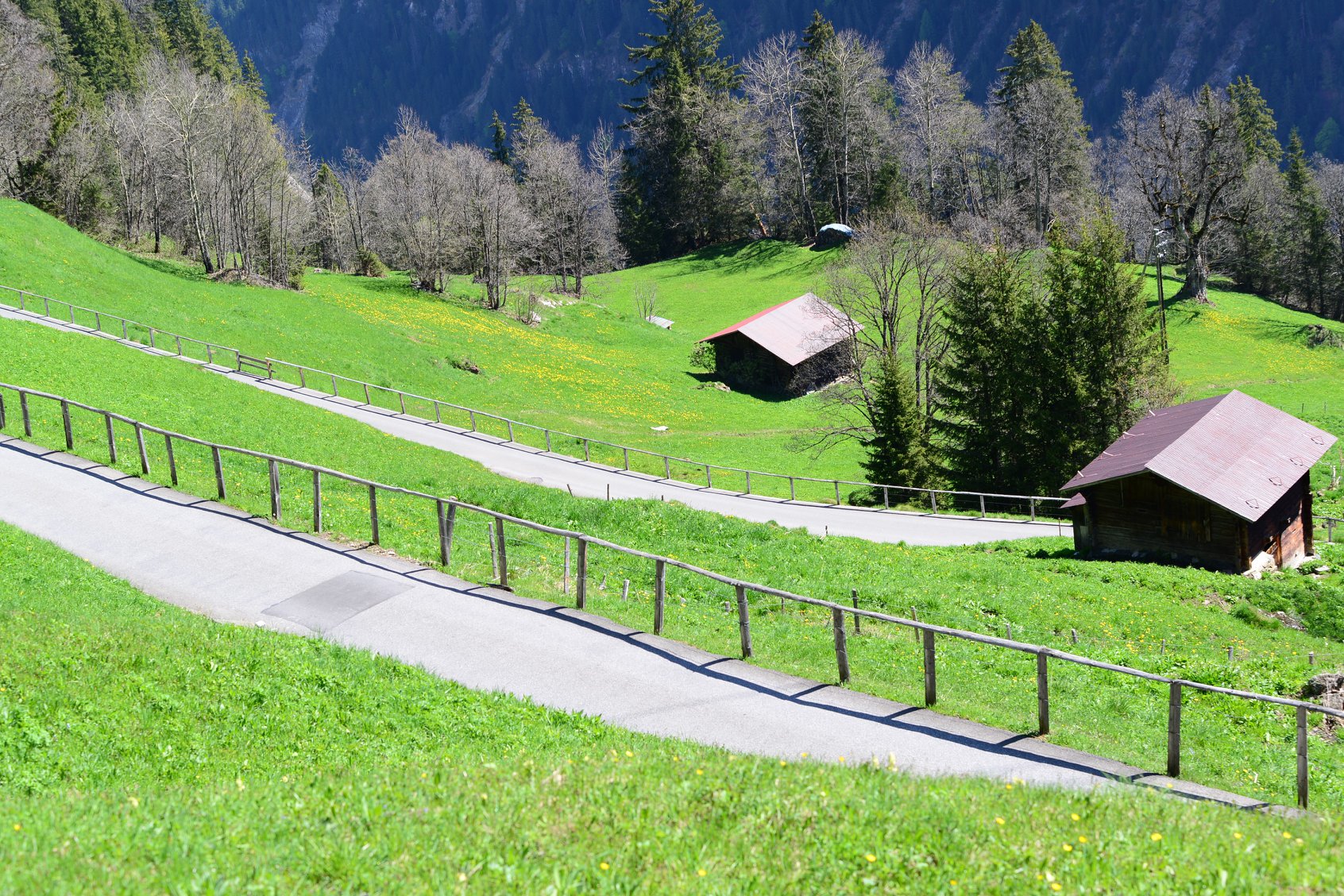 31582522_1965870143741974_3489120152962727936_o