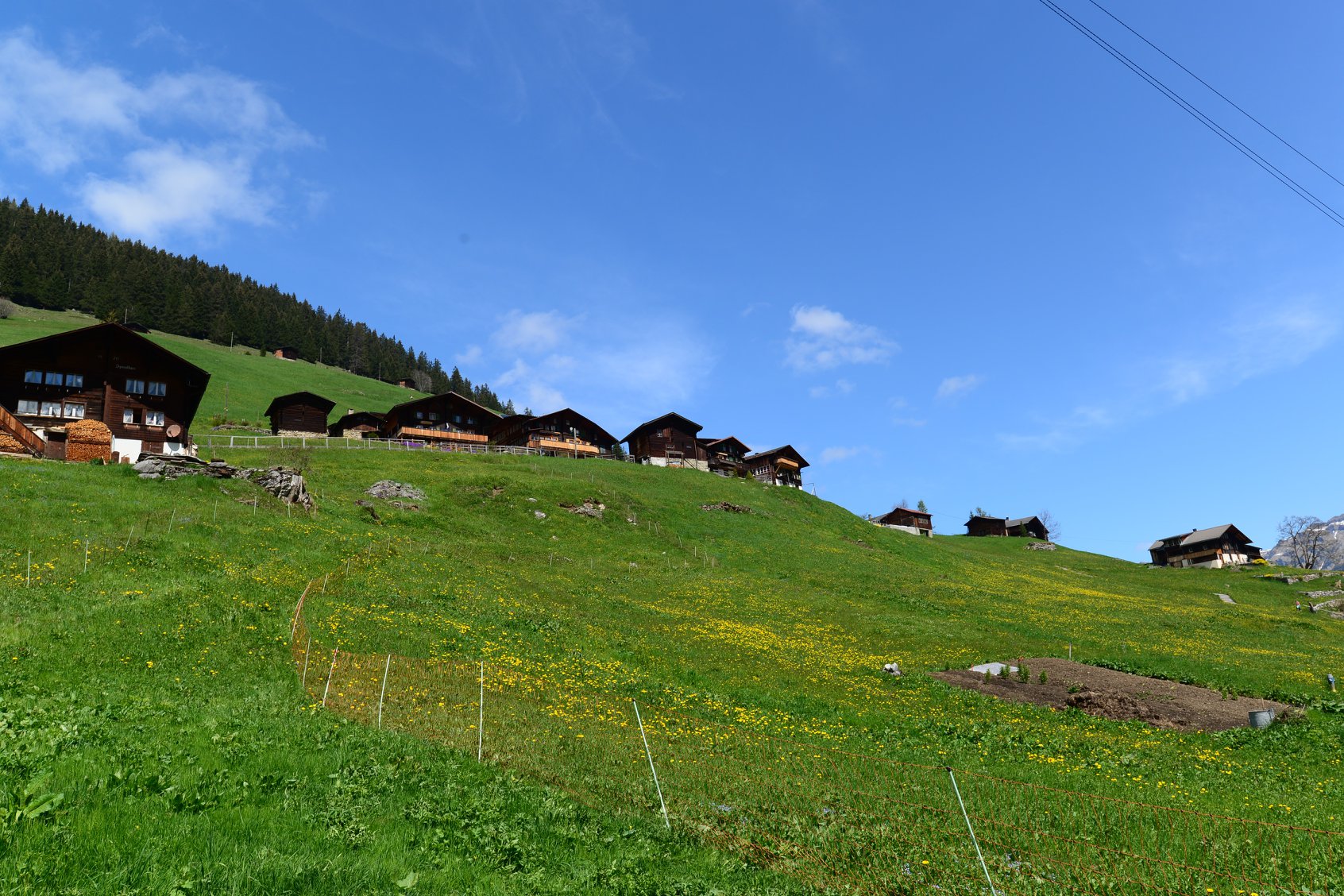 31641876_1965870337075288_8466819861266300928_o