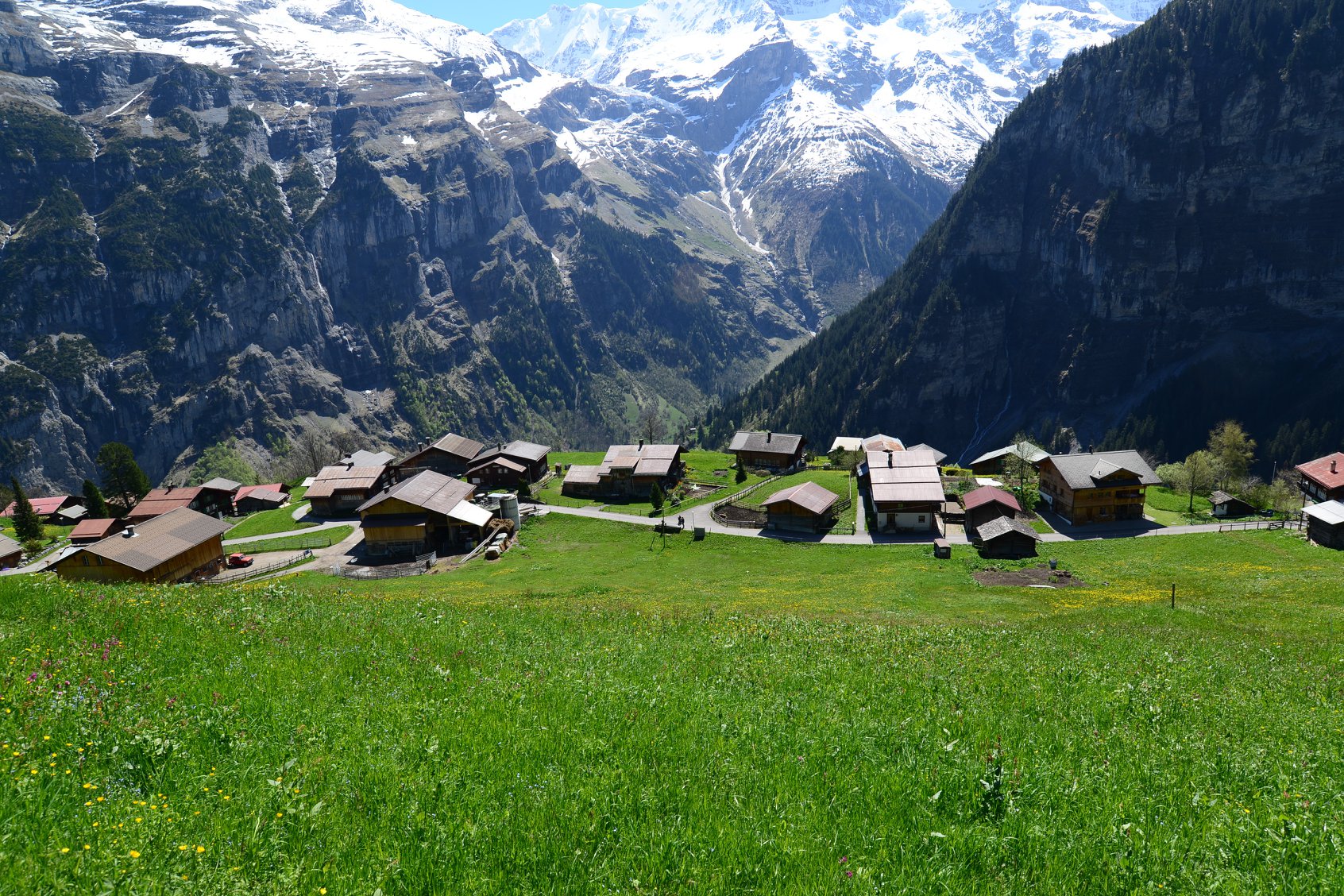 31698831_1965870260408629_6567108757698904064_o