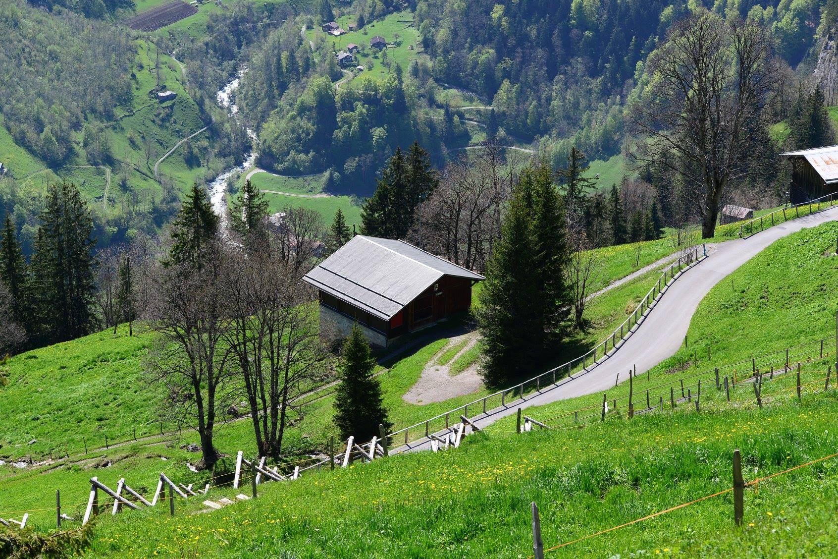 31713334_1965870127075309_4027266013119643648_o