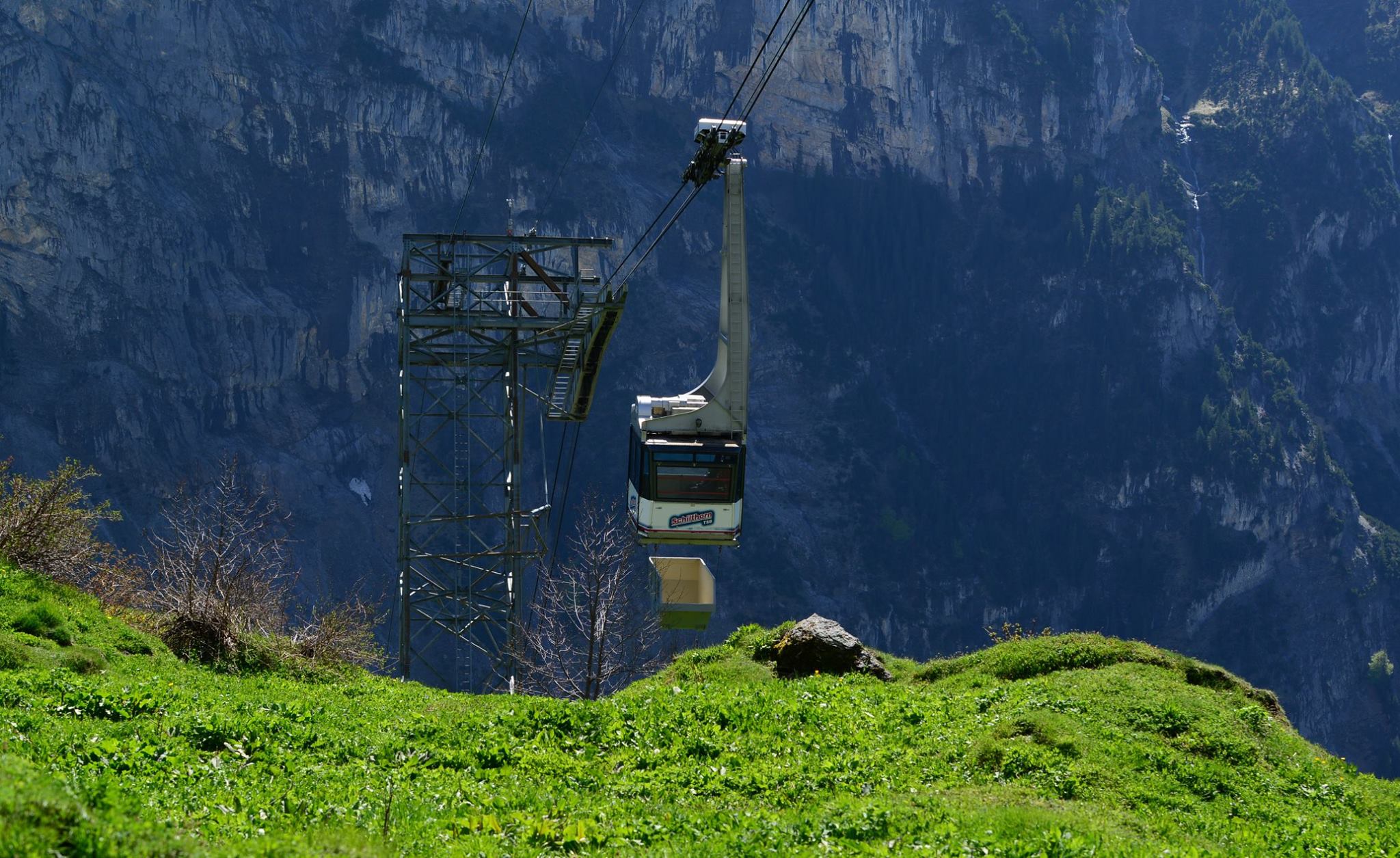 31714766_1965870050408650_1533934860958171136_o