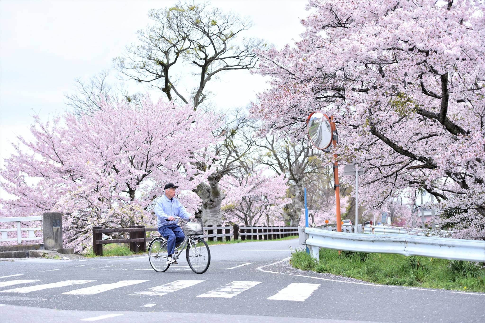 31727840_1966412627021059_5675800351110856704_o