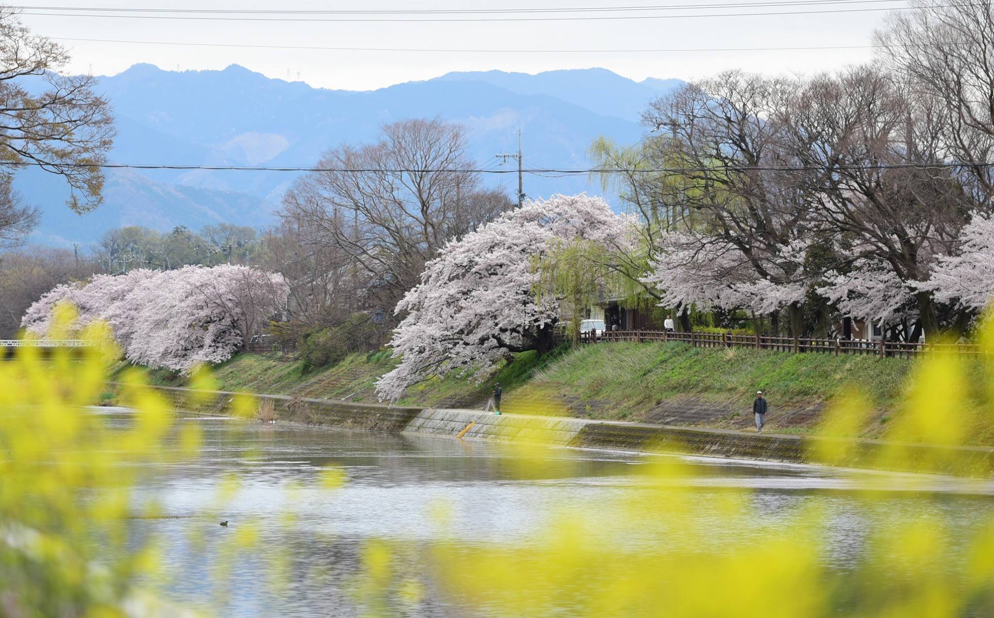 31732380_1966412077021114_1562687416442028032_o