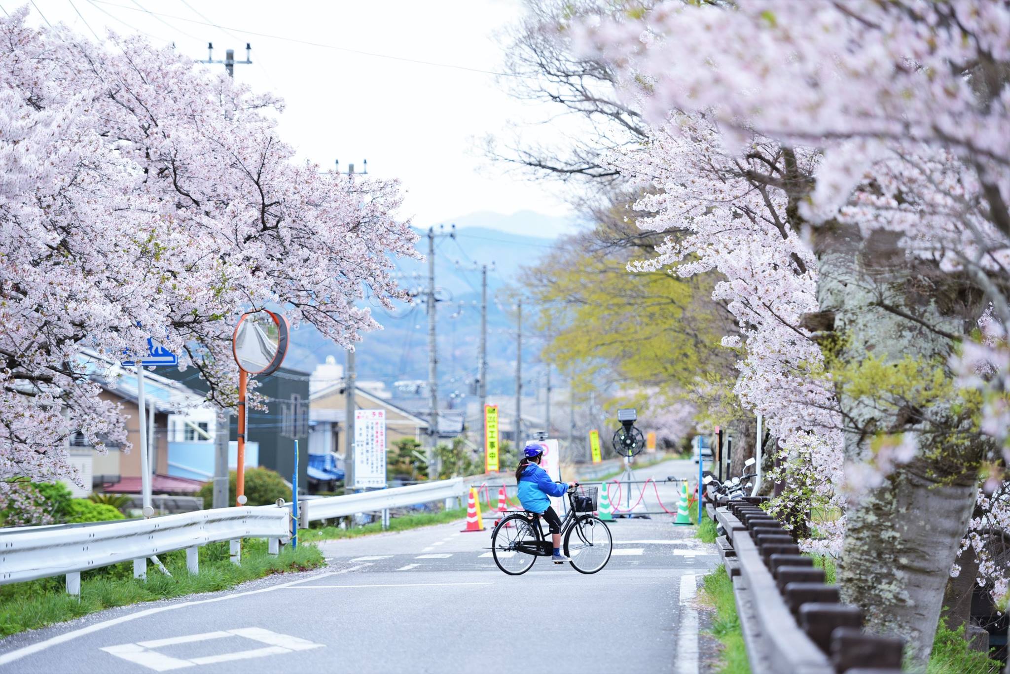 31747354_1966412493687739_12676454240223232_o