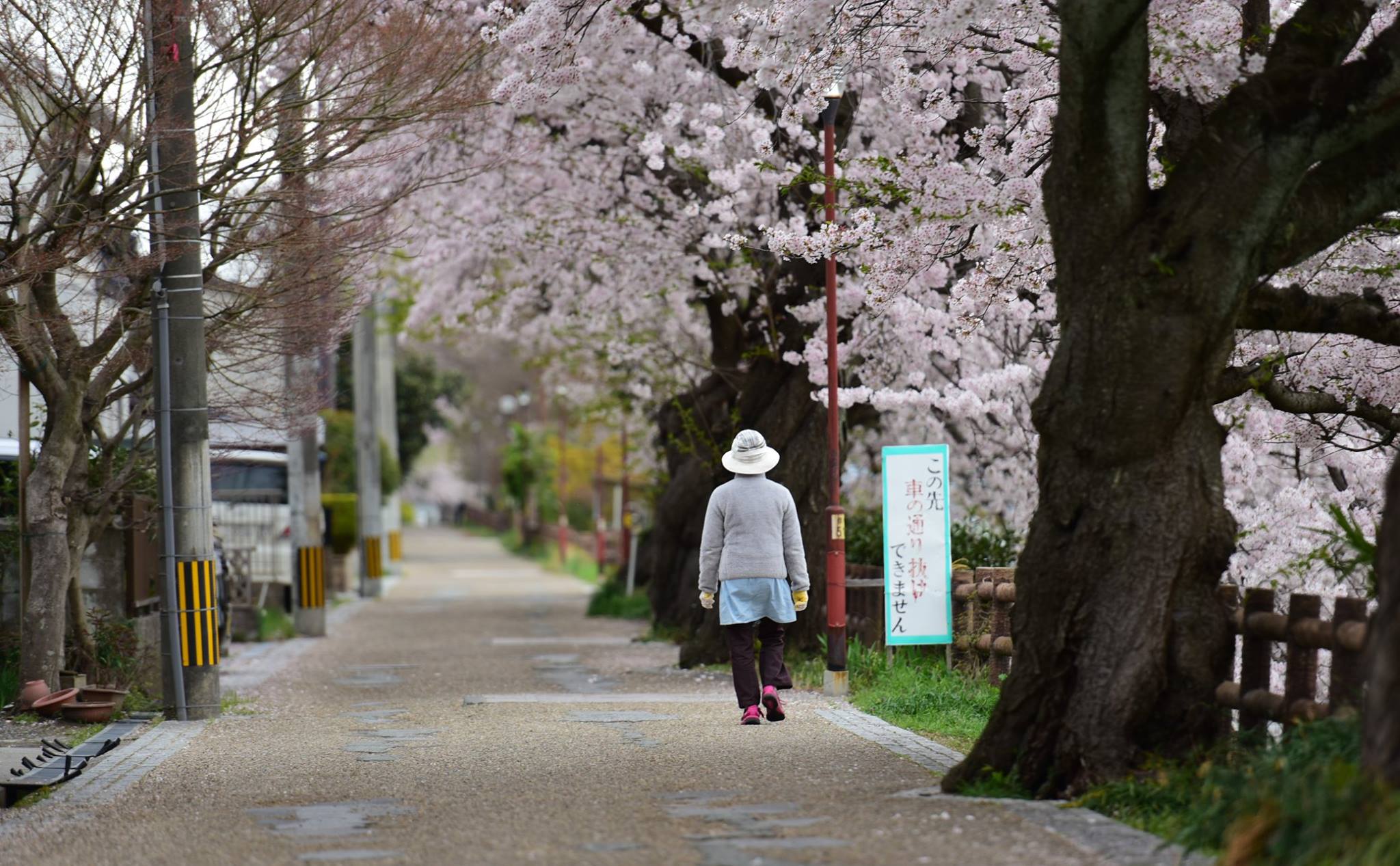 31747925_1966412017021120_8260740162103803904_o