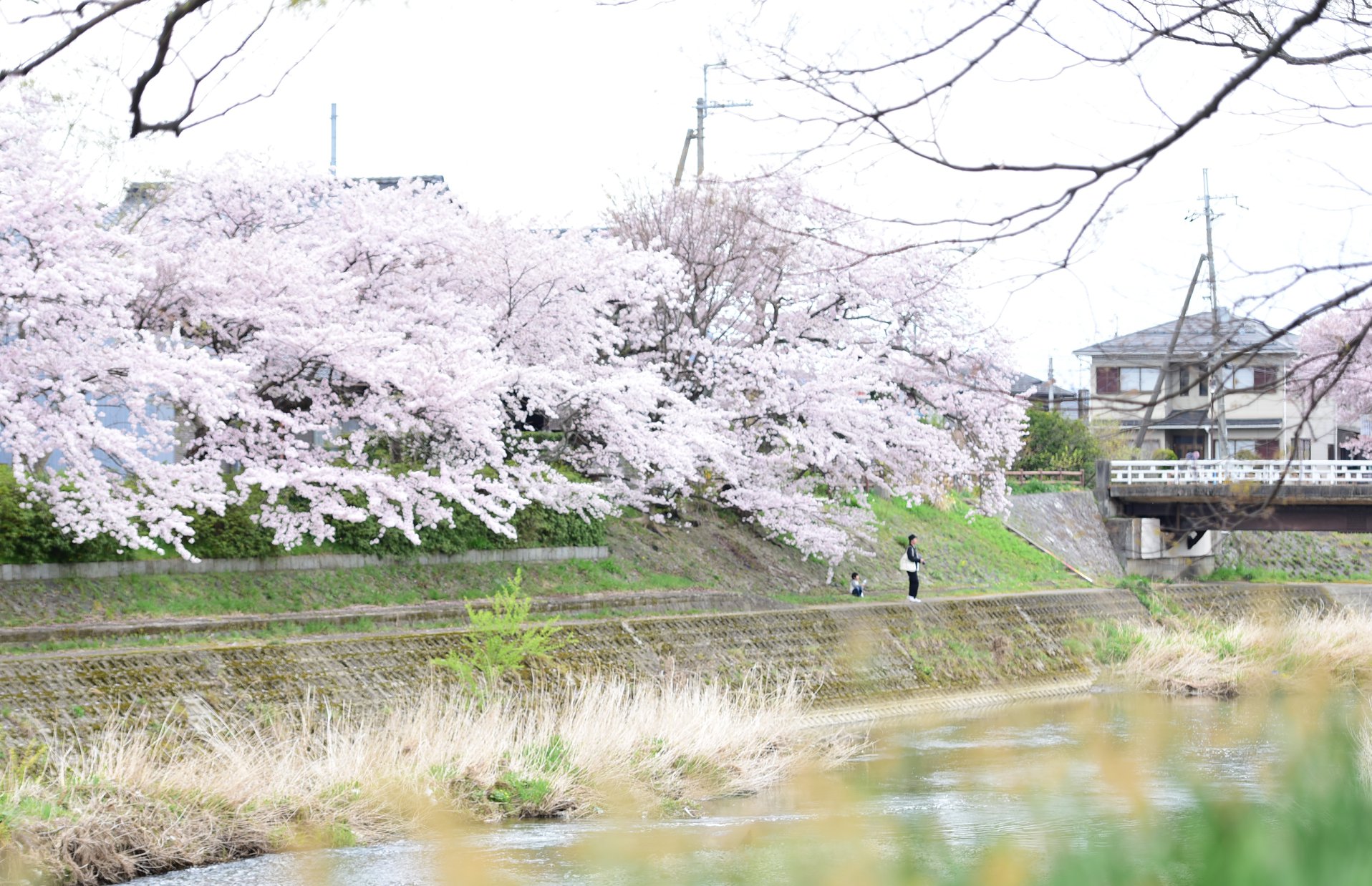 31761939_1966412810354374_8019212328320892928_o