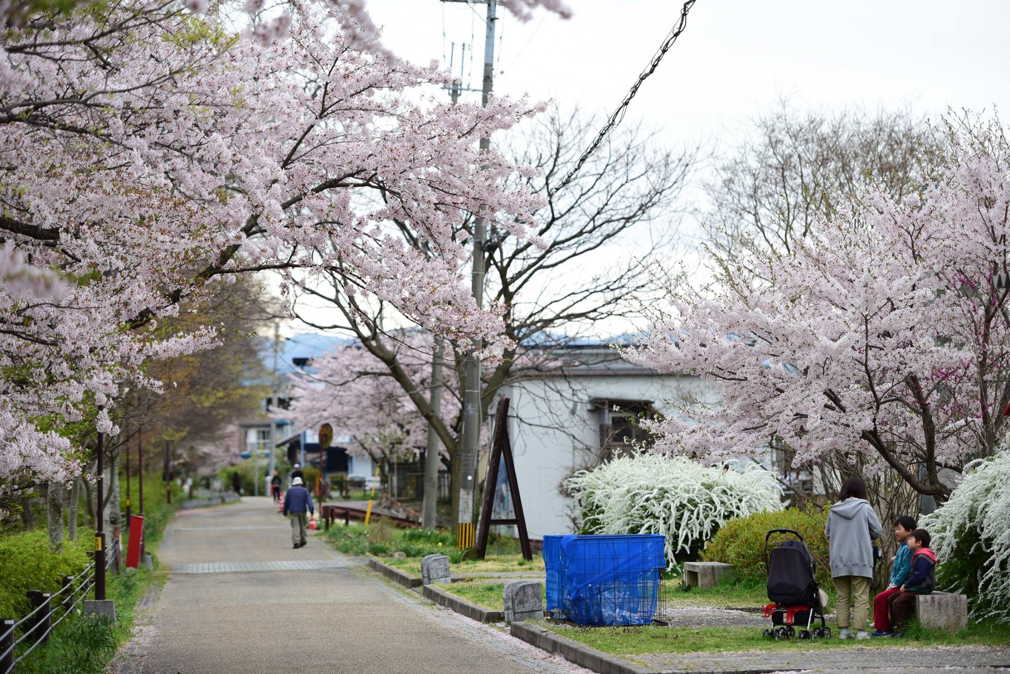 31786662_1966412230354432_1079657140722860032_o