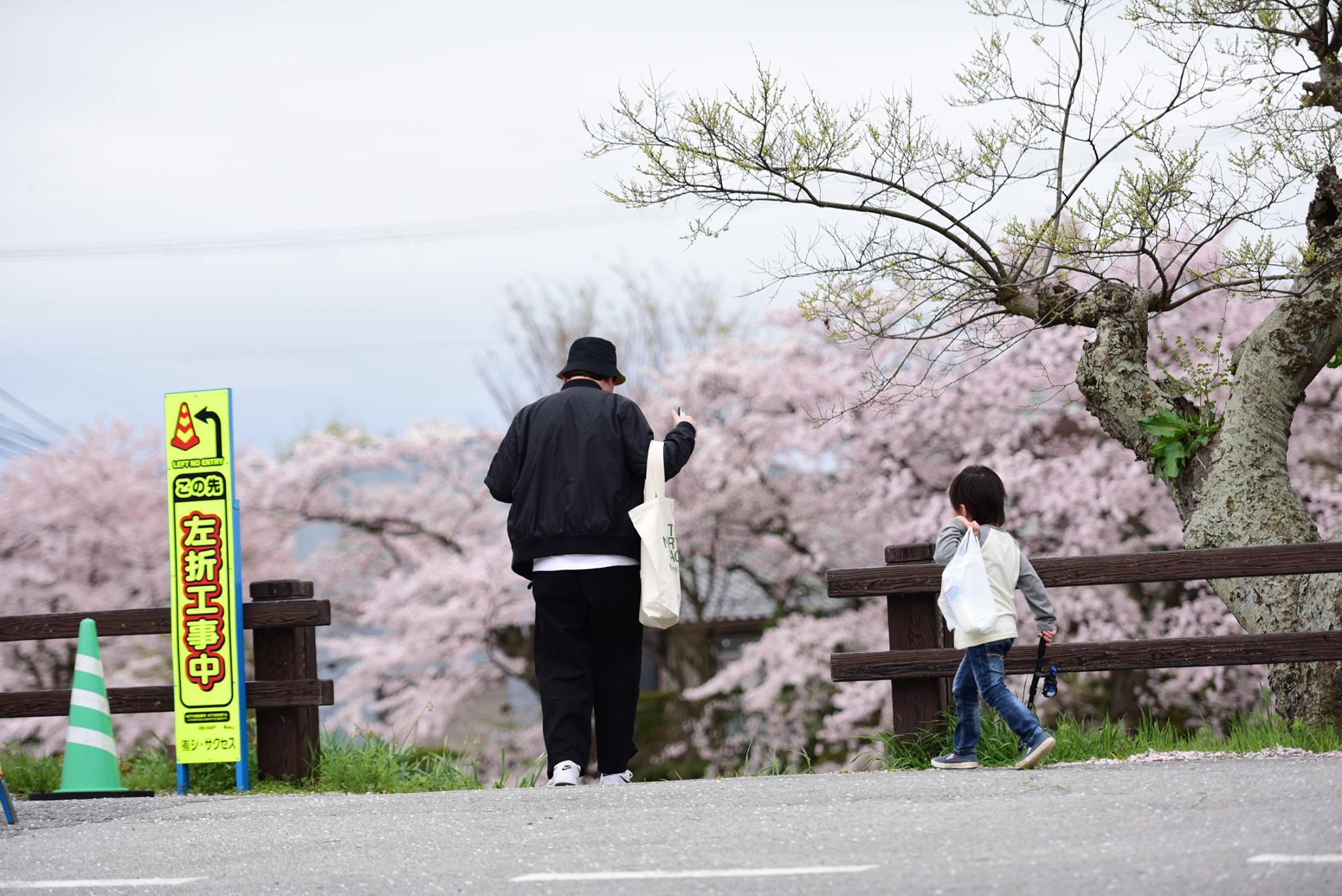 31790535_1966411750354480_8586570176613318656_o