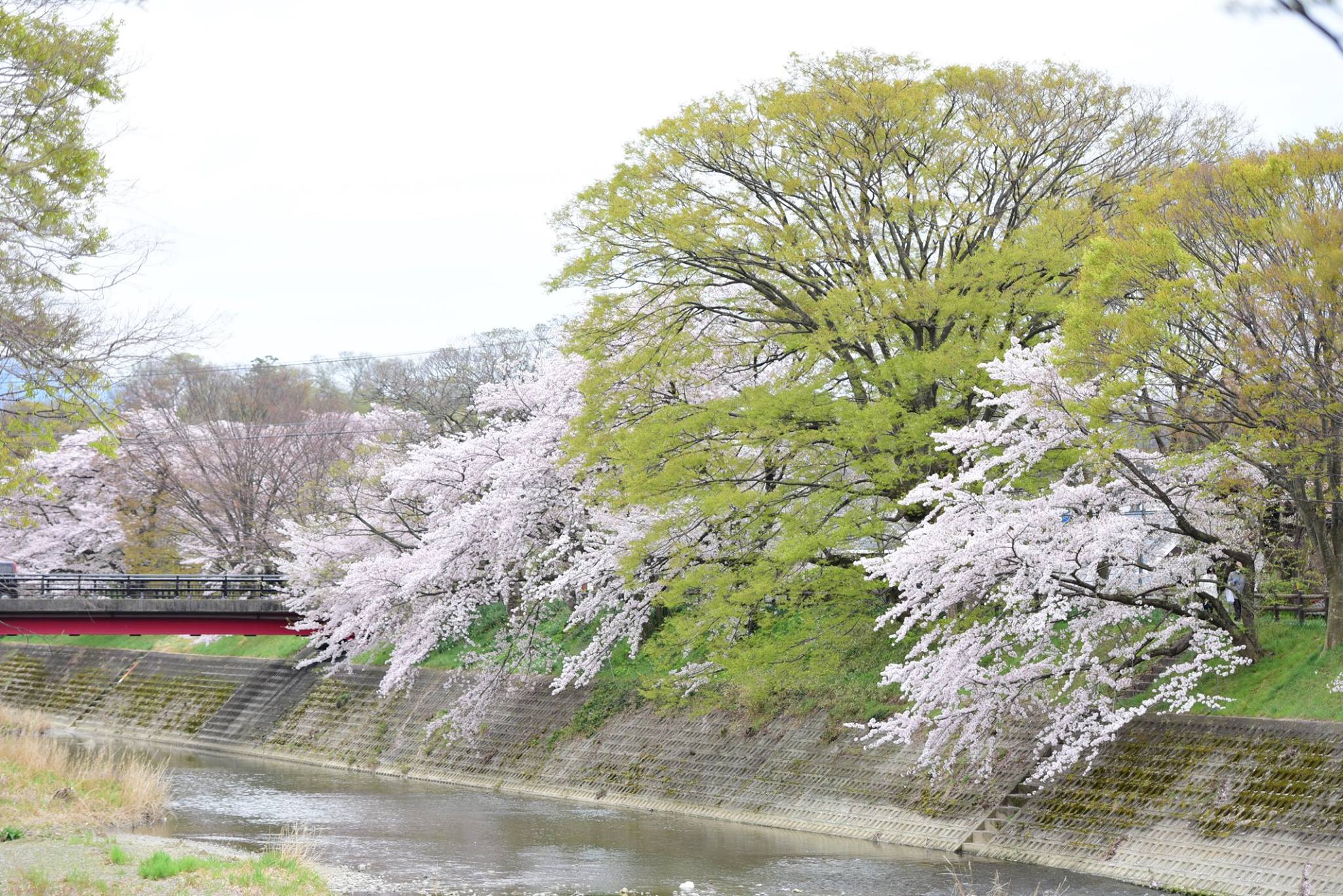 31791869_1966412870354368_5269191708389670912_o