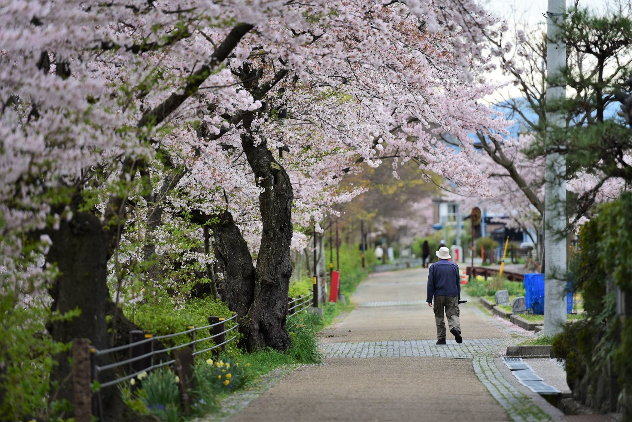 31818136_1966412207021101_6334187806448943104_o