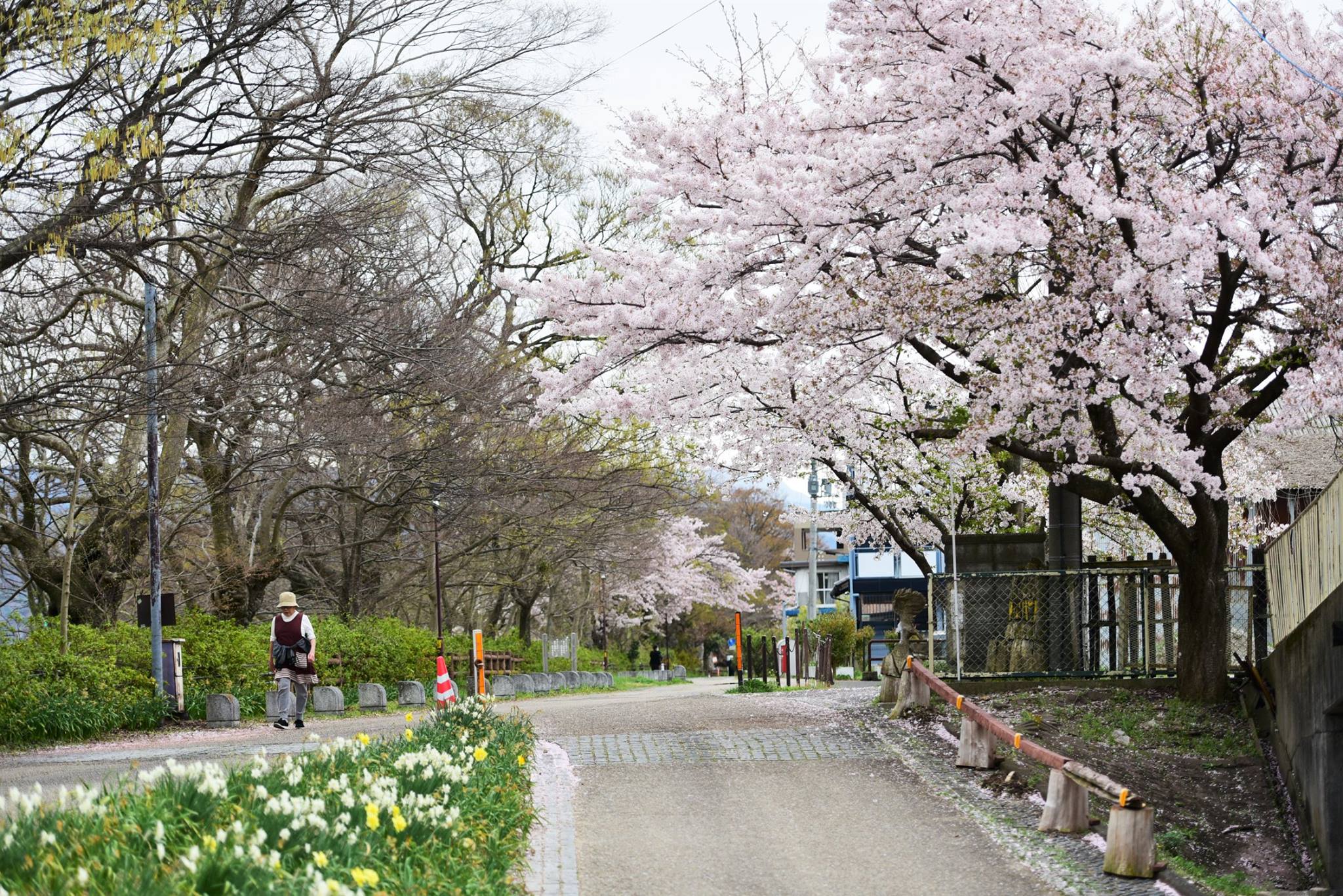 31823569_1966412260354429_6608828541003890688_o