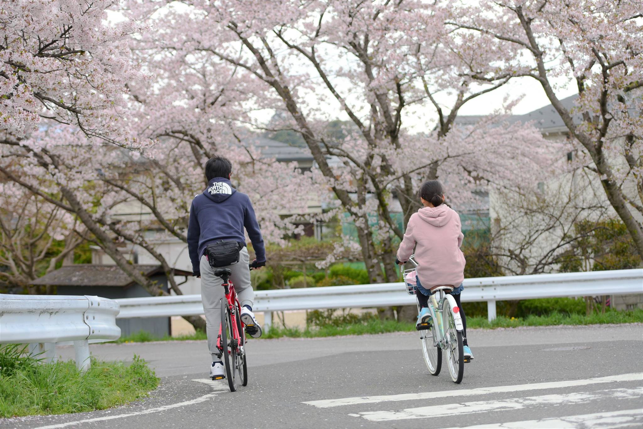 31870863_1966411933687795_6876118301592780800_o