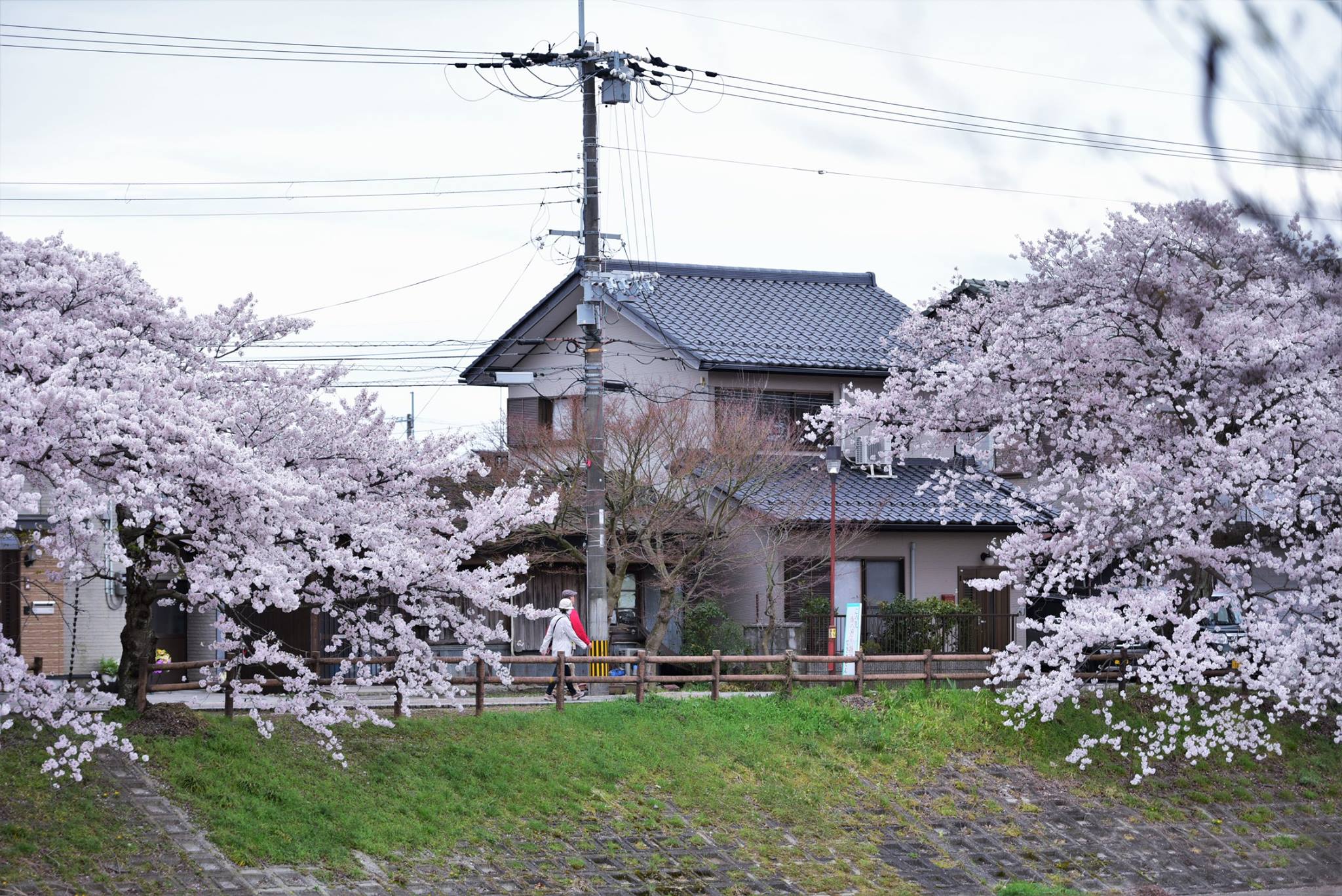 31882907_1966412533687735_3363625413346590720_o