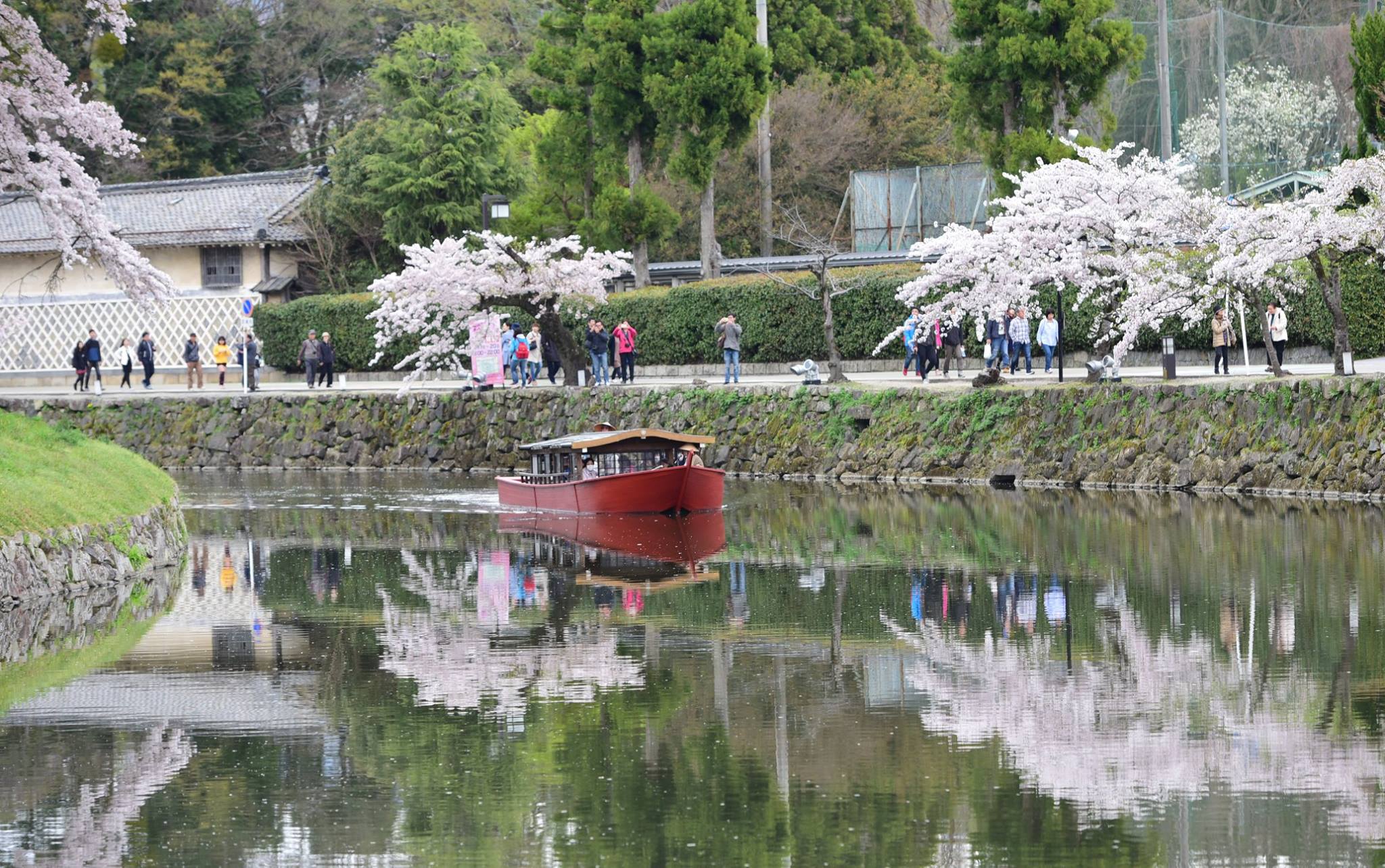 31945730_1969081600087495_5261210224634626048_o