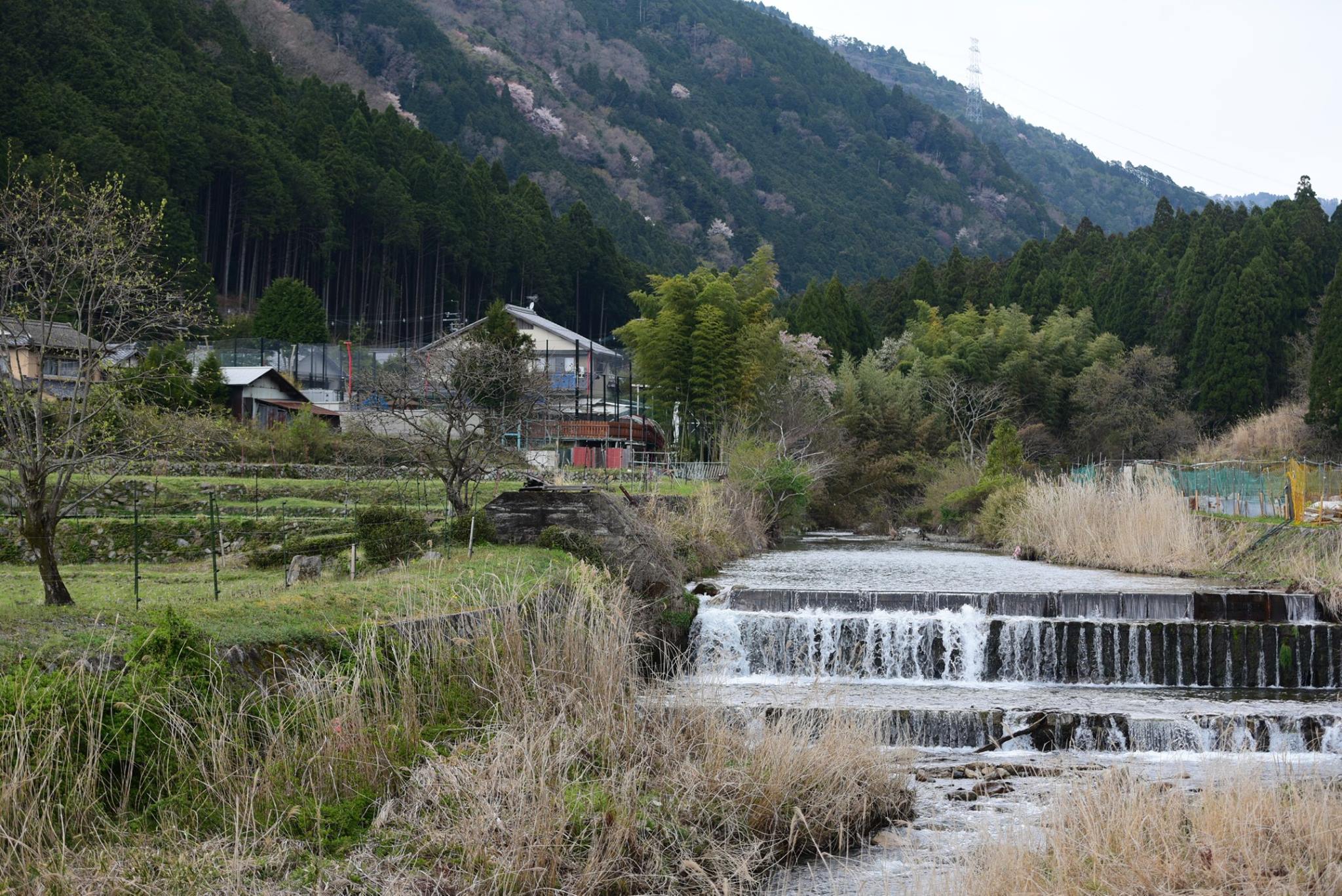 31949188_1969633580032297_8224088191099994112_o