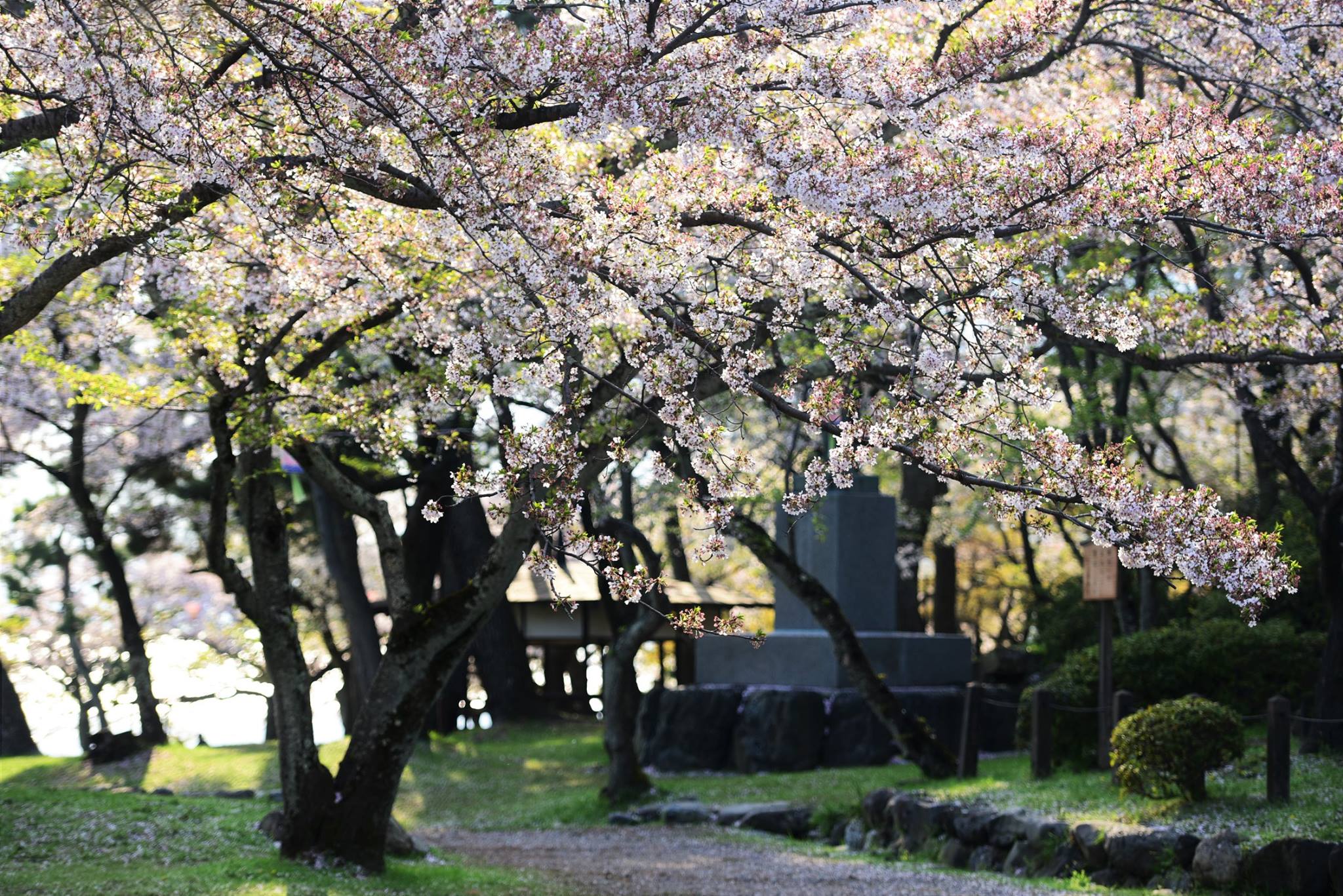 31959247_1970135436648778_2910395673721438208_o