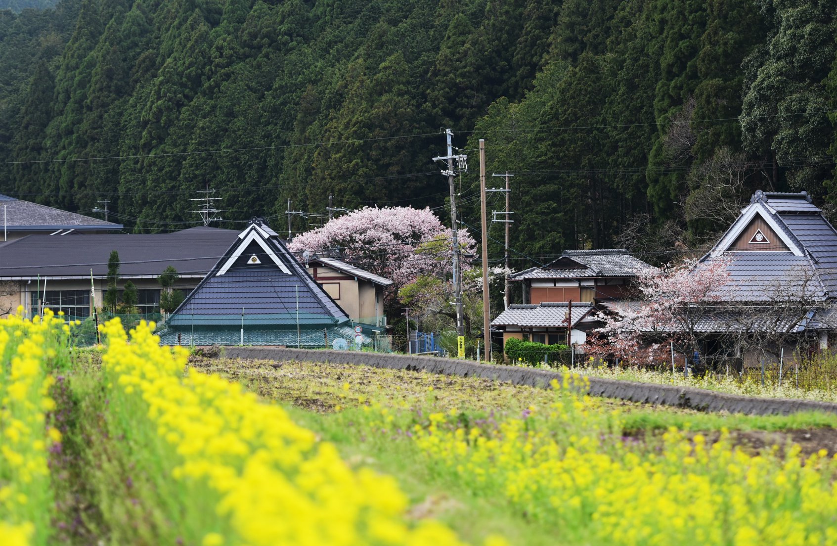 31959659_1969633706698951_503567632507600896_o