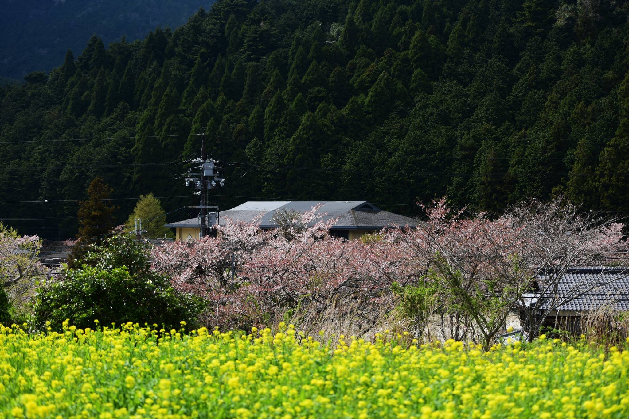 31959712_1969634156698906_8993686926850523136_o