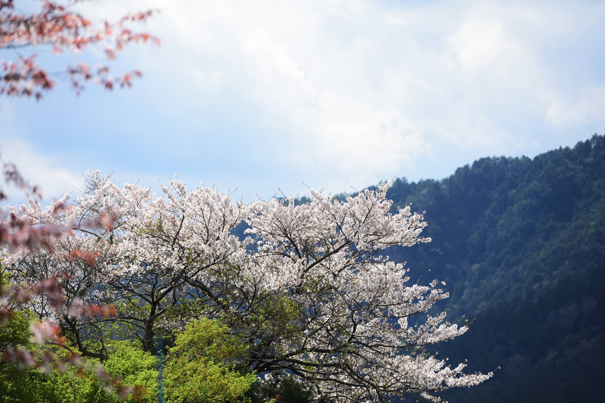 31960083_1969634493365539_8515608409121226752_o