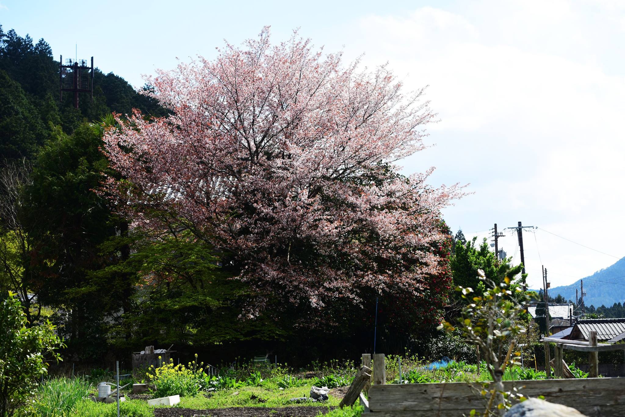 31960409_1969634463365542_890293411326722048_o