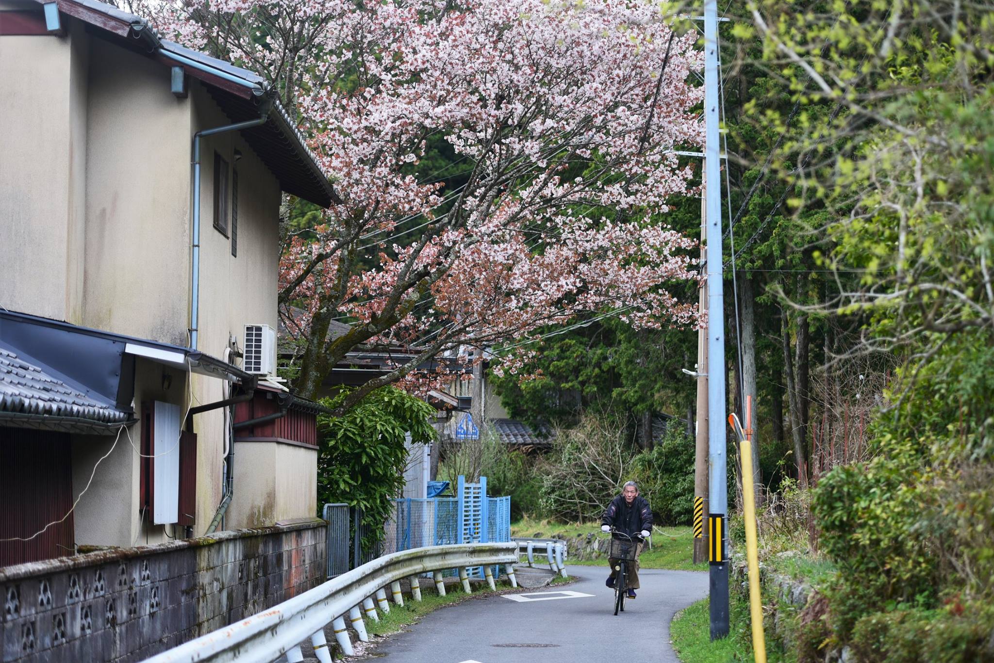 31961892_1969633360032319_5240173449049014272_o