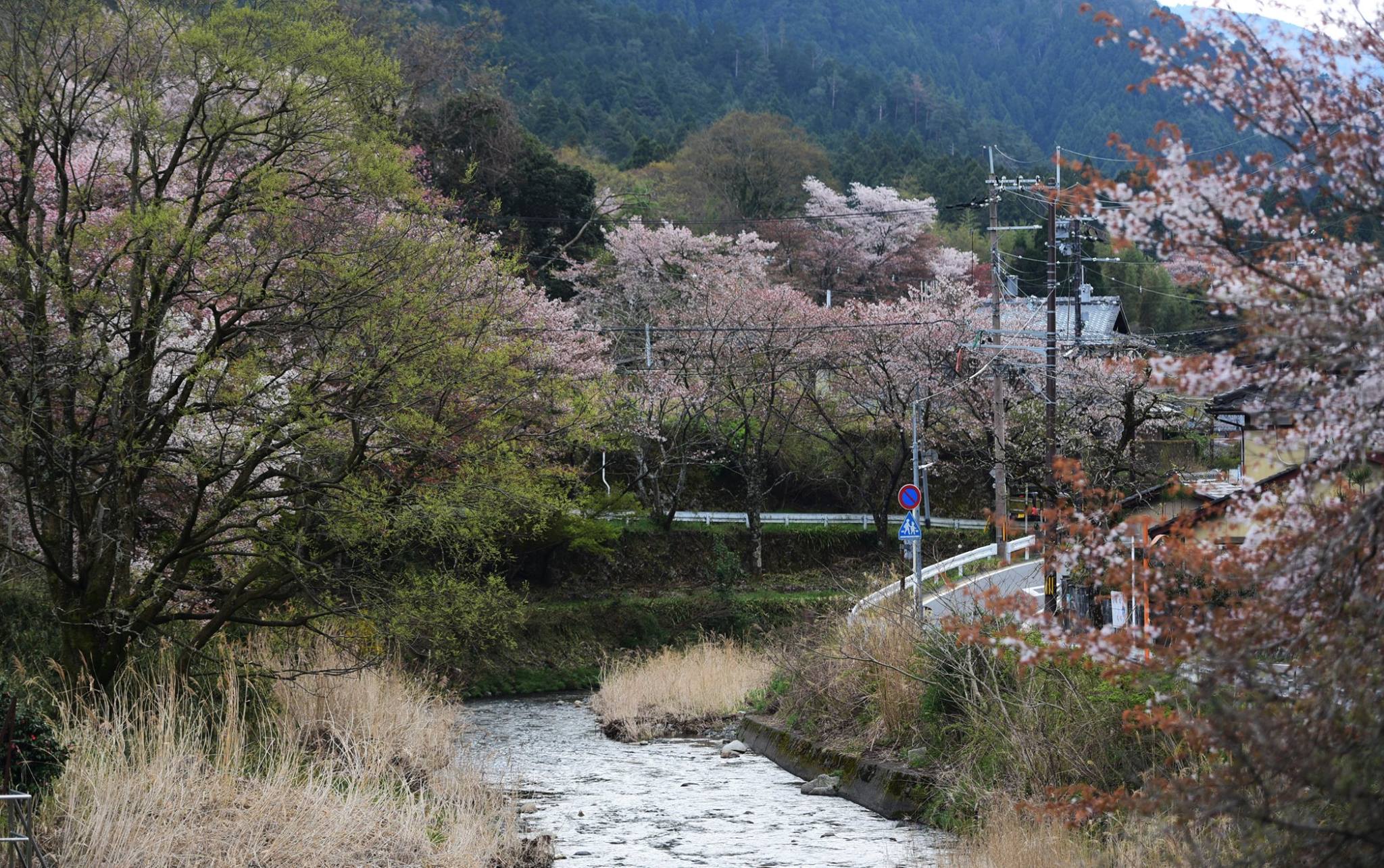 31961902_1969633403365648_1894759276858048512_o