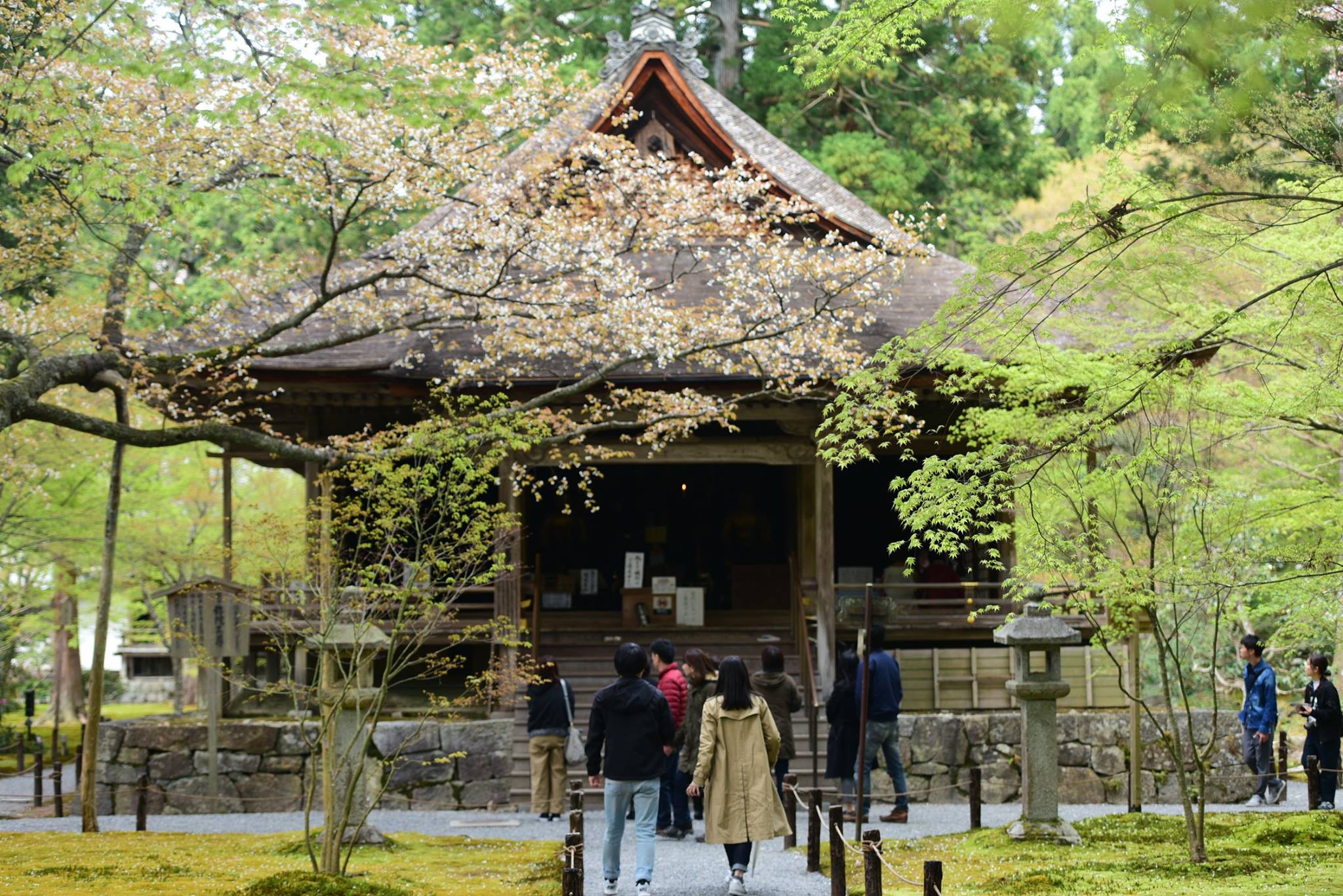 31964033_1969634850032170_6564382939524628480_o