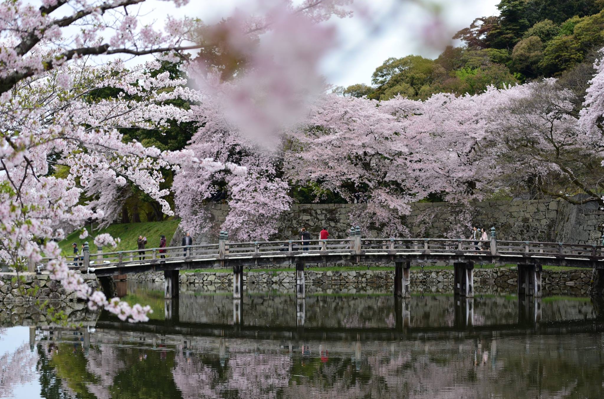 31964144_1969081526754169_6868629021089857536_o