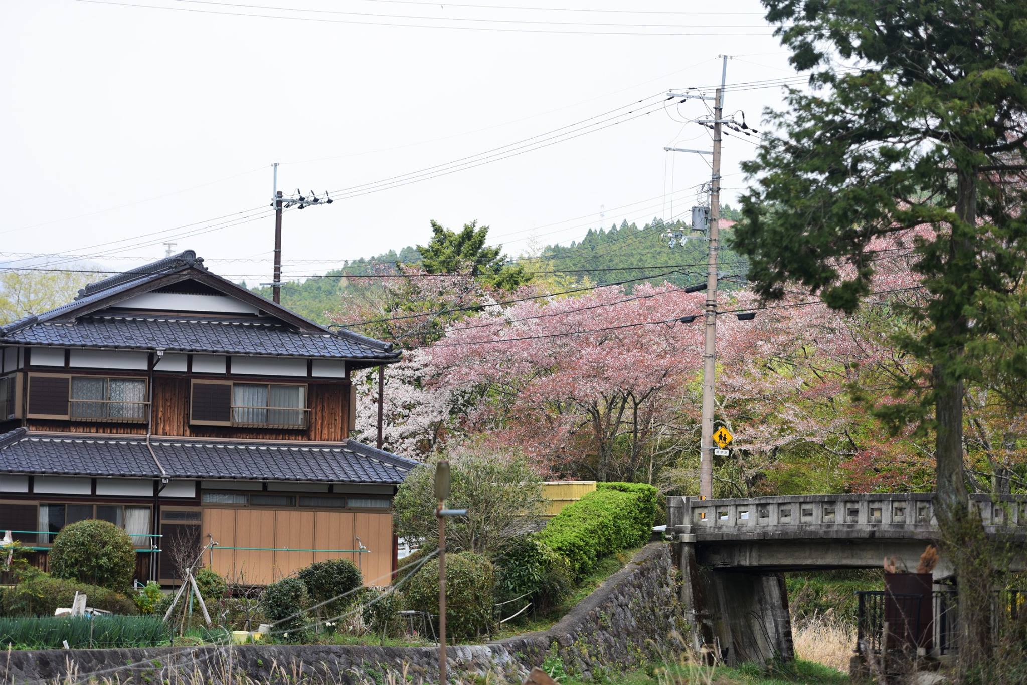 31964305_1969633153365673_7126499746599927808_o