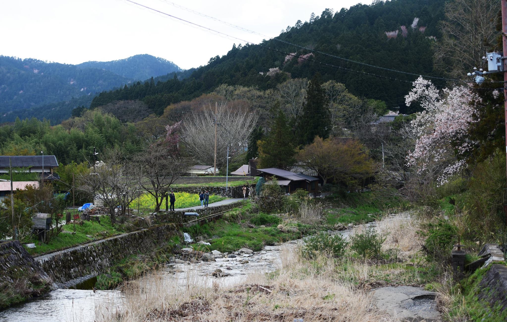 31967946_1969633203365668_2832740852533559296_o