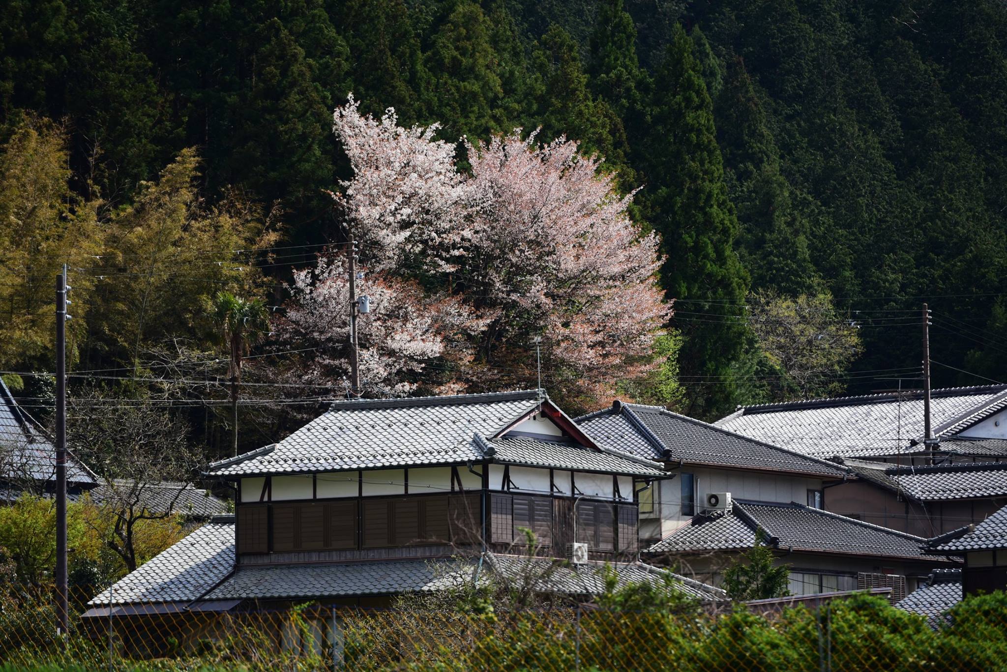 32072684_1969634256698896_1575874490754138112_o