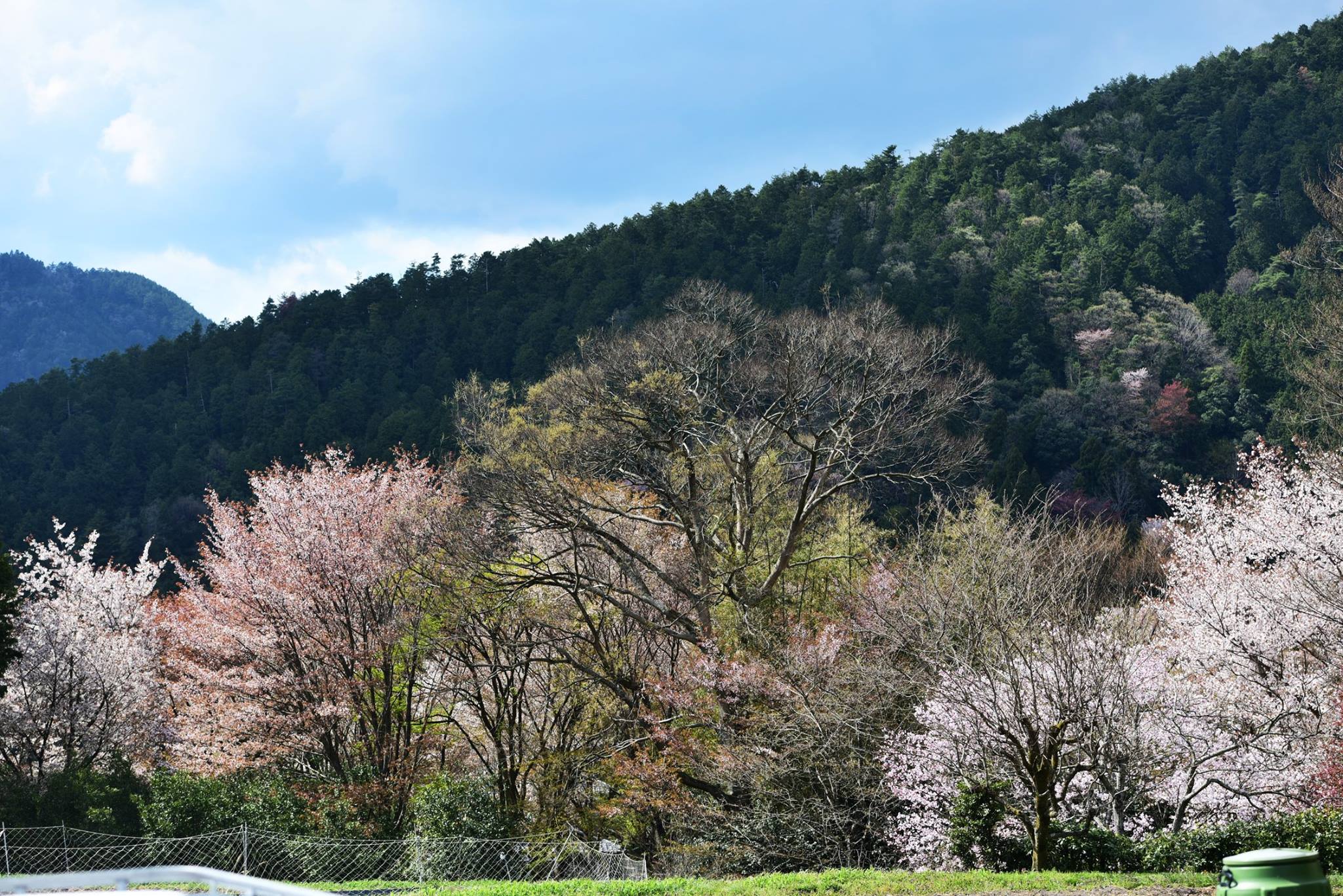 32074746_1969635003365488_6715396381948772352_o