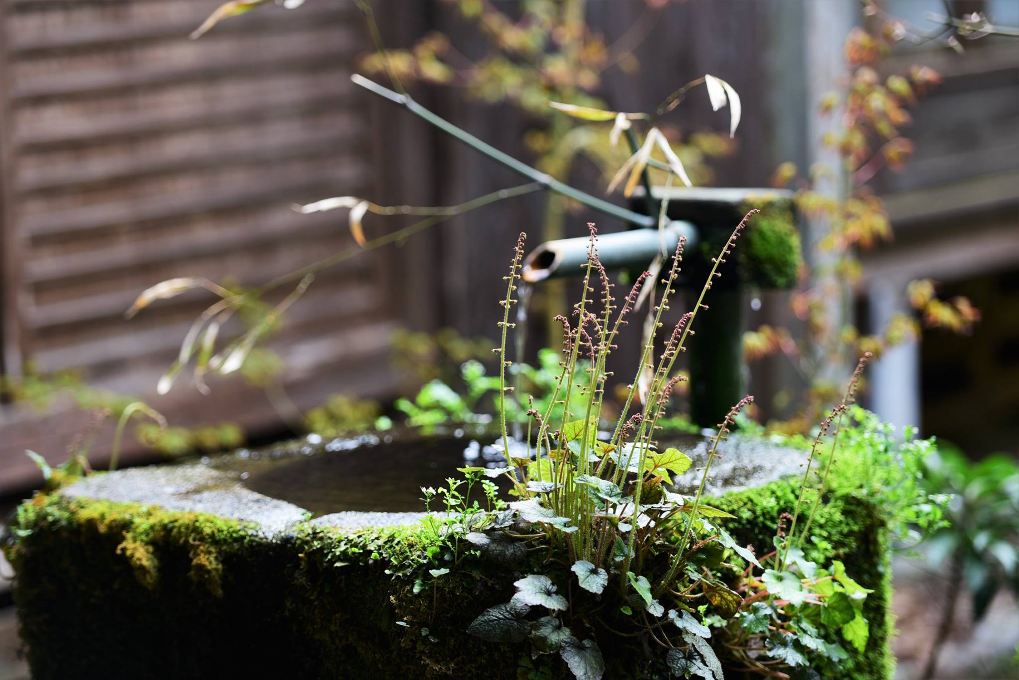 32076537_1969634676698854_2335587916891291648_o