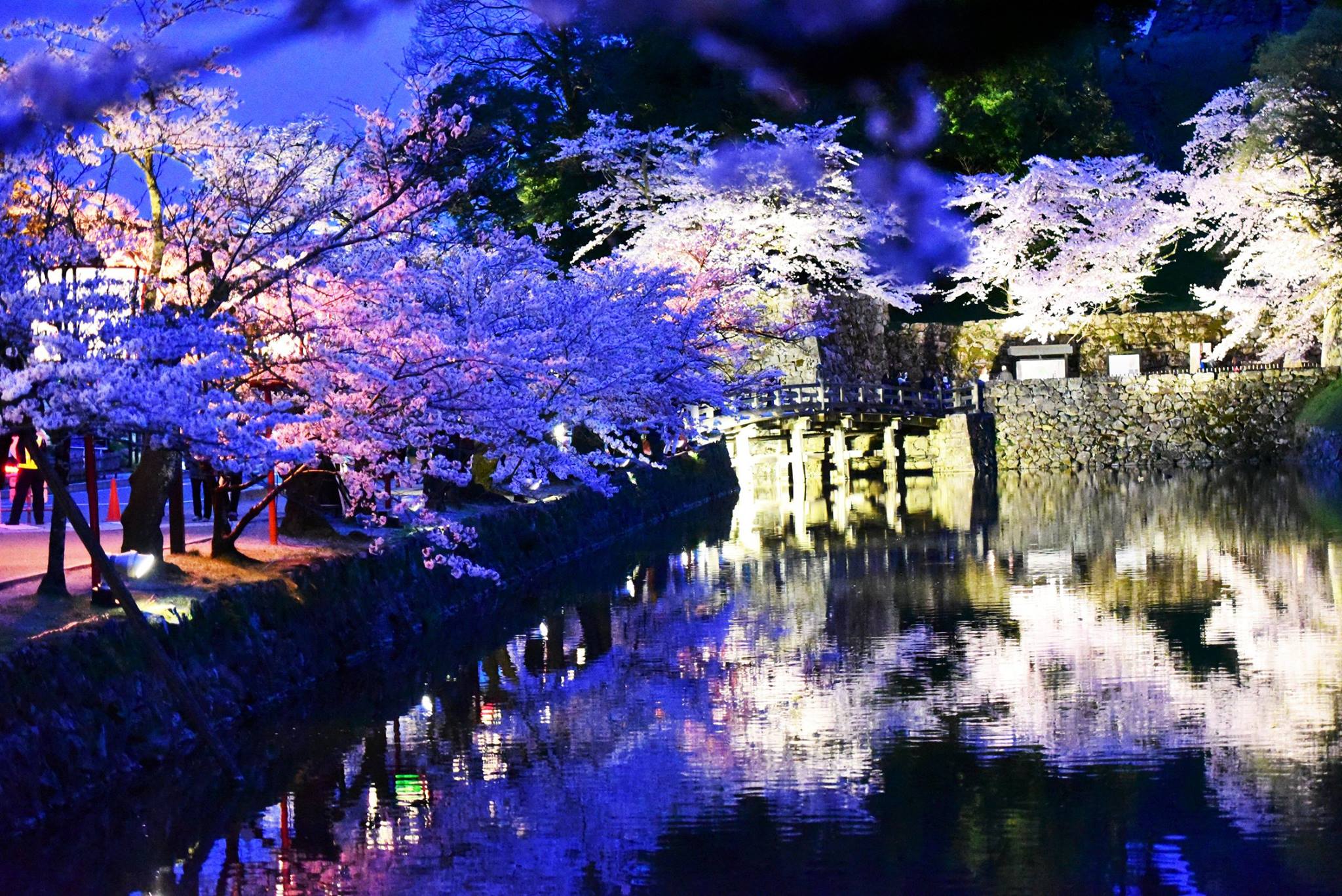 32077187_1969081143420874_4260160485896224768_o