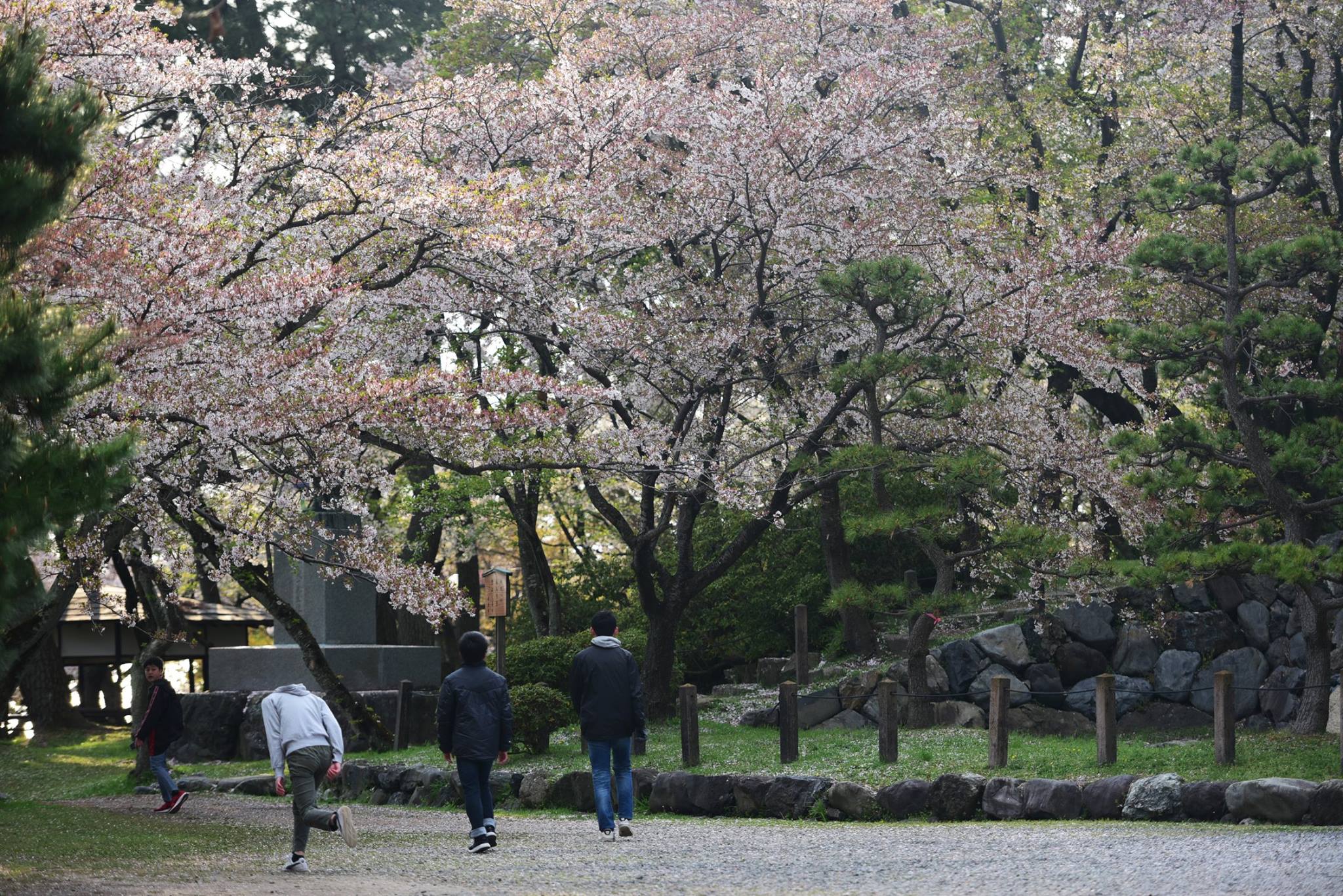 32082002_1970155663313422_8764953929491415040_o