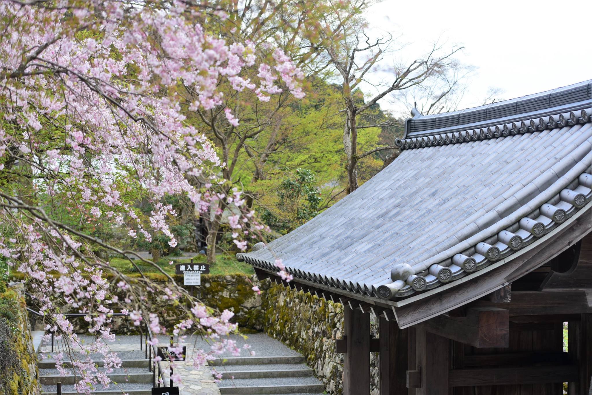 32087237_1969634636698858_7844526598119227392_o