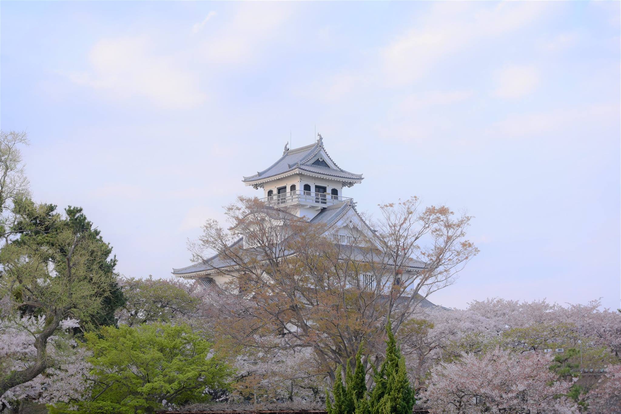 32089986_1970136219982033_2110950905288327168_o