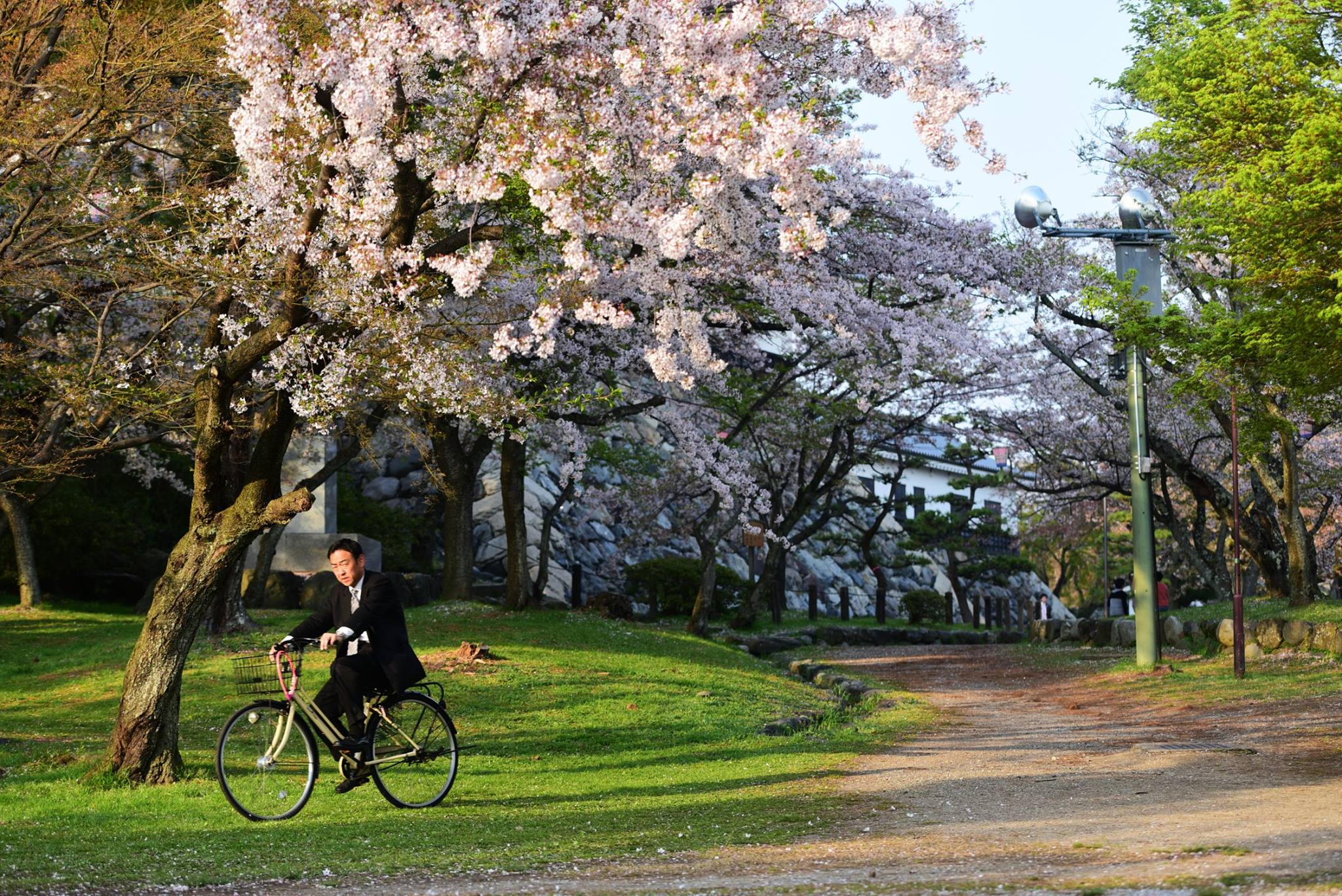 32104826_1970136083315380_8274281609872539648_o