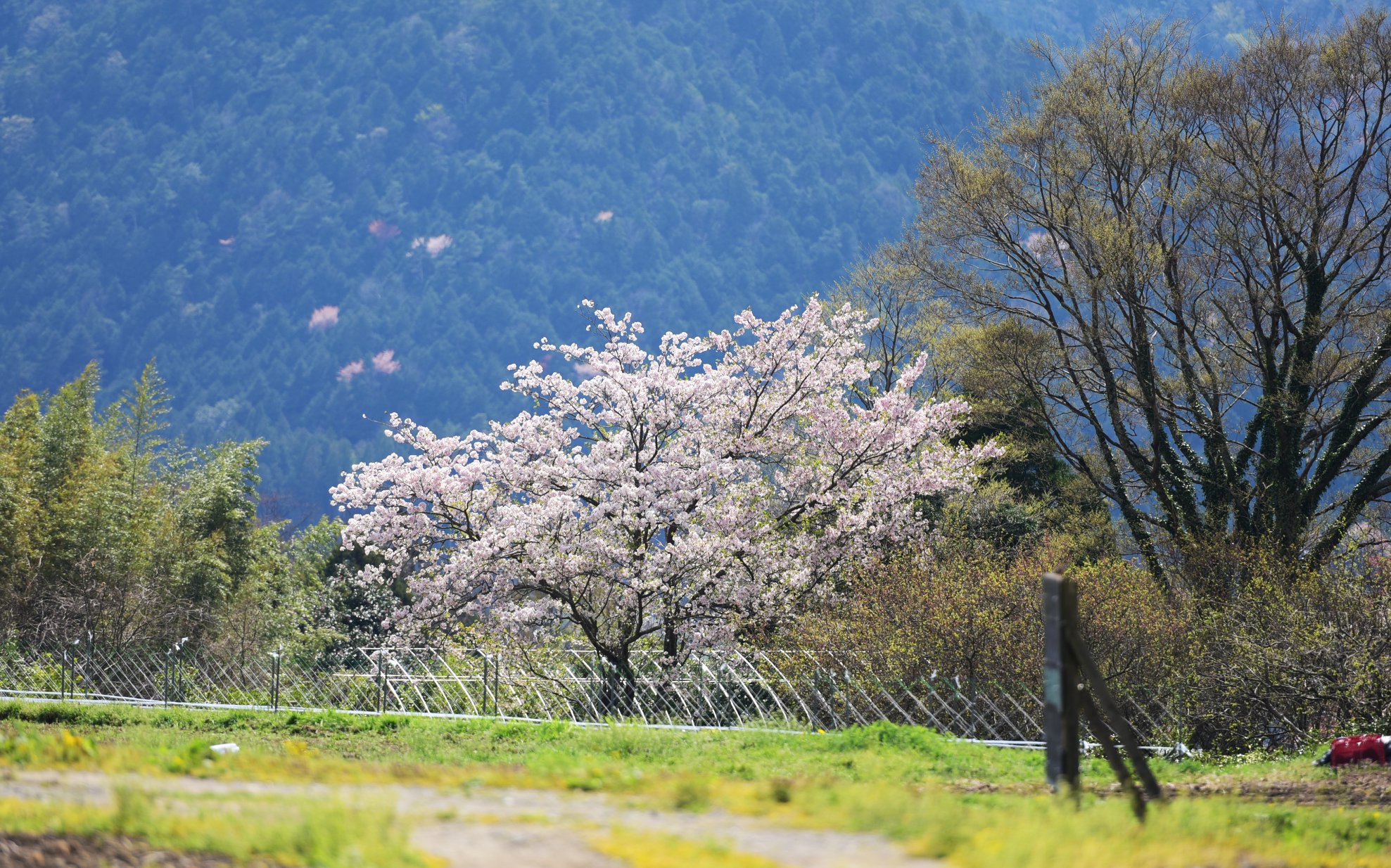 32104923_1969634180032237_6537593725260922880_o