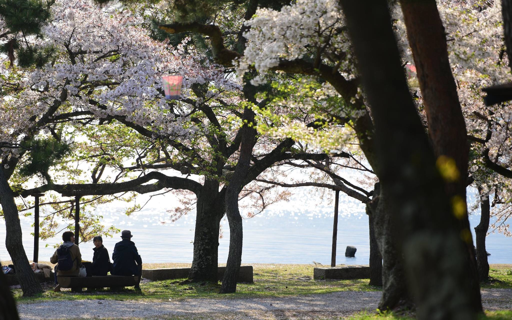 32116726_1970155733313415_5063671544681594880_o